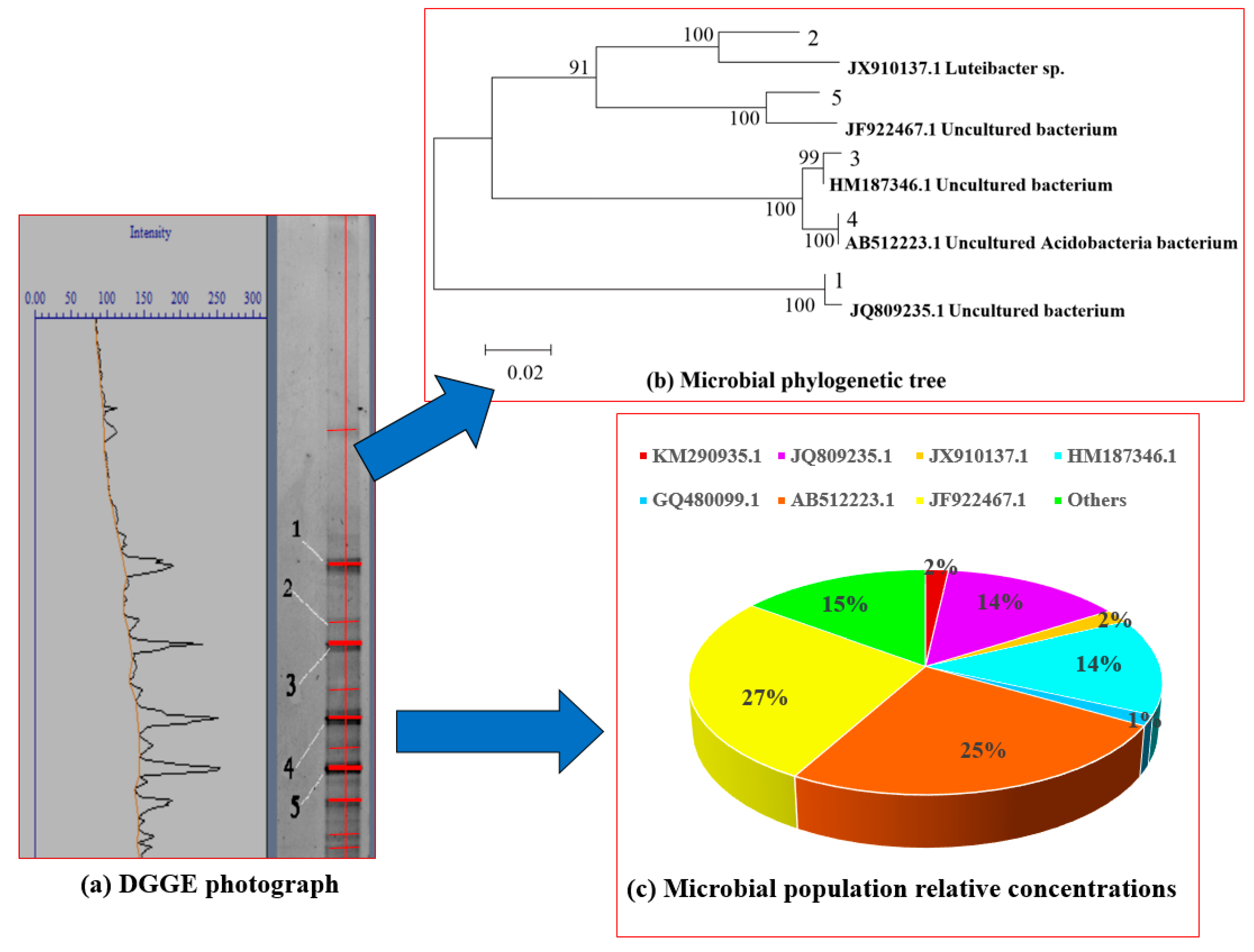 Ijerph 17 01953 g005
