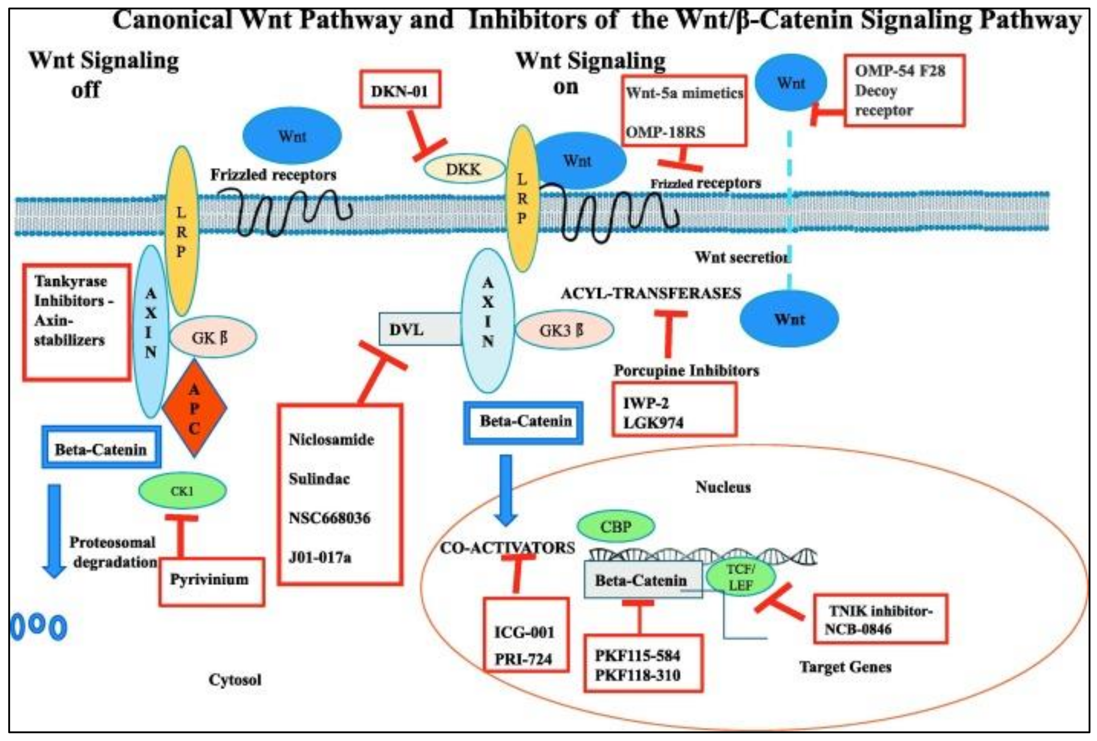 Ijerph Free Full Text Triple Negative Breast Cancer A Review