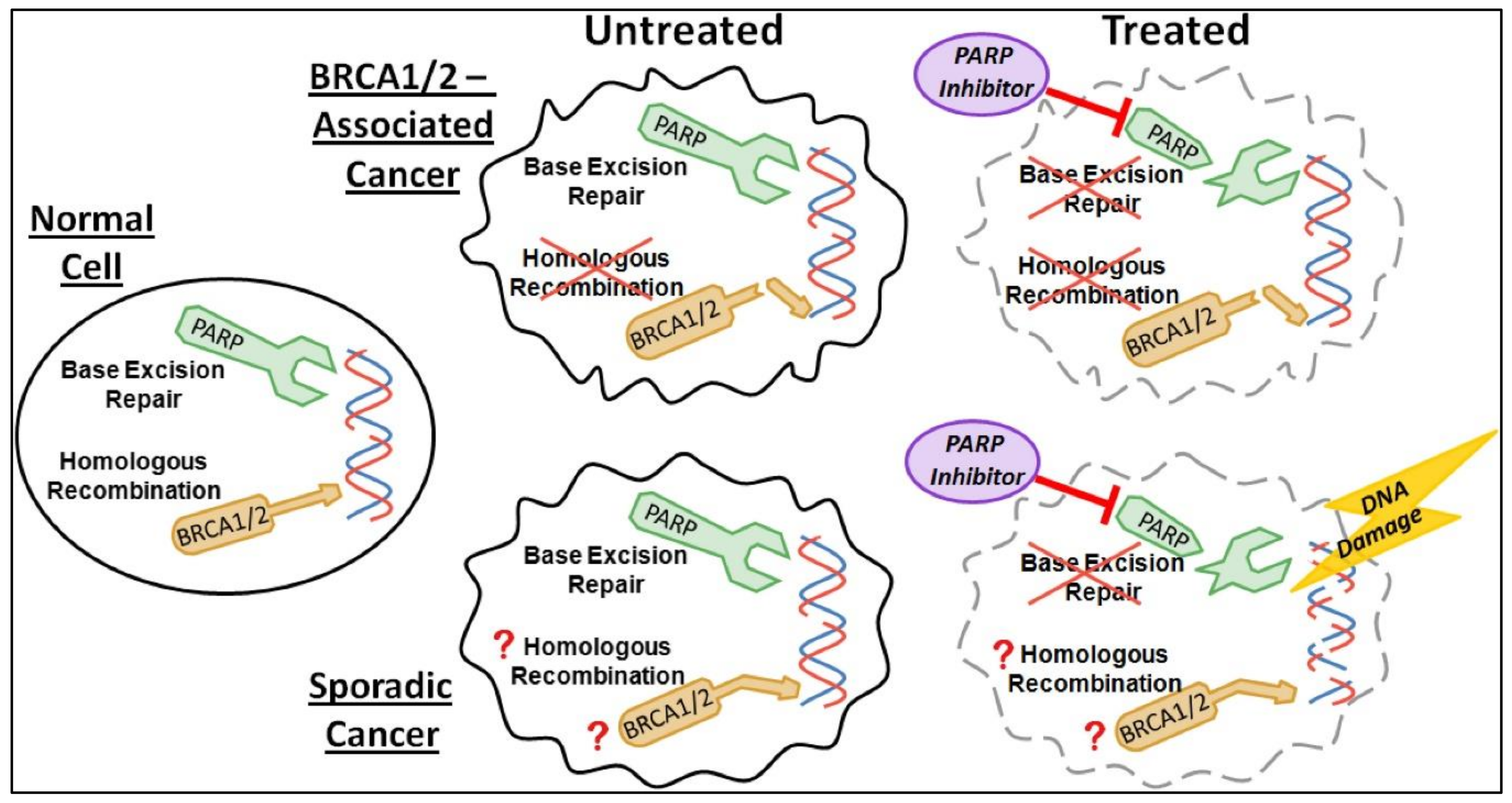 Ijerph 17 02078 g003