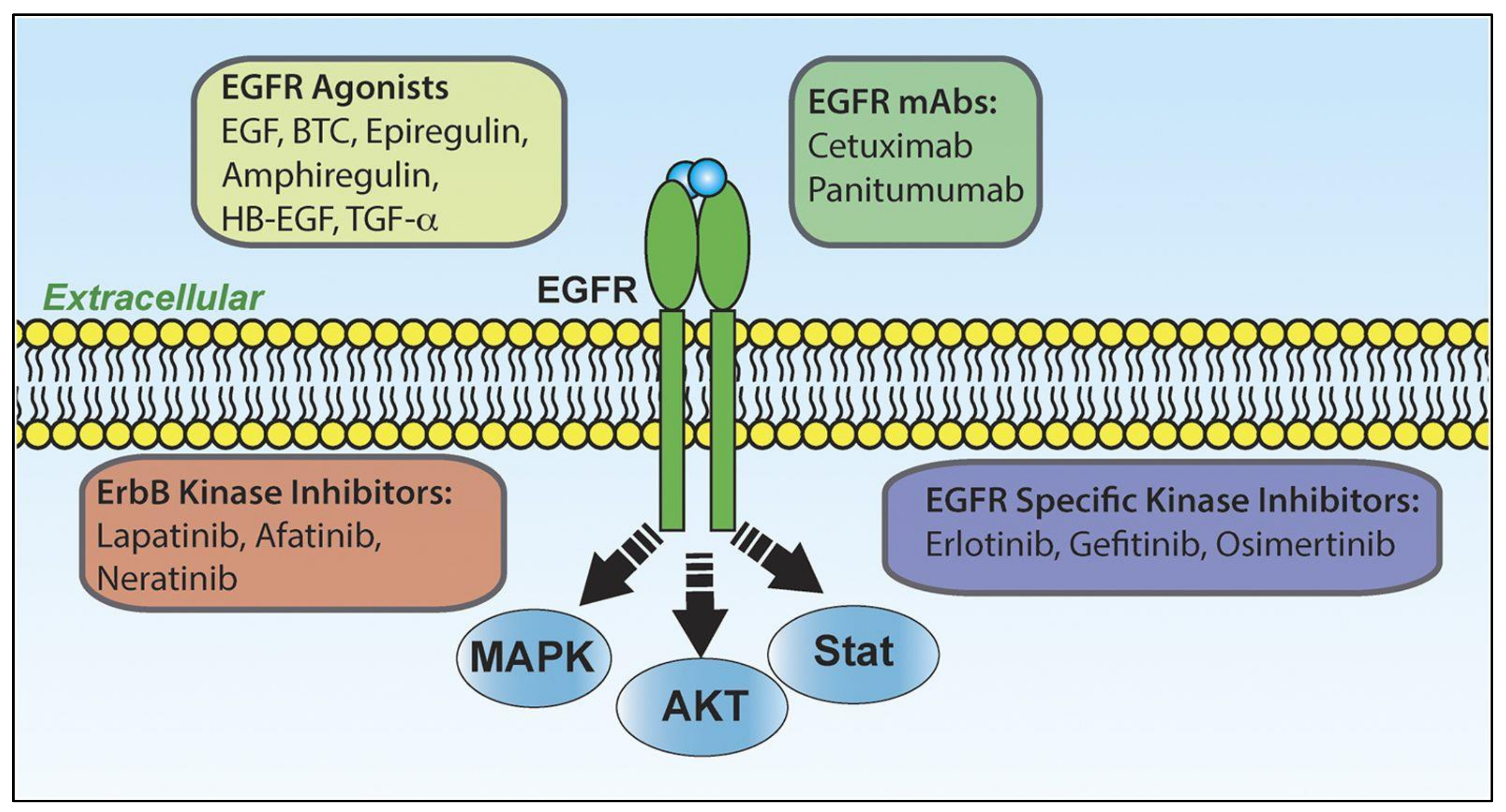 Ijerph 17 02078 g005