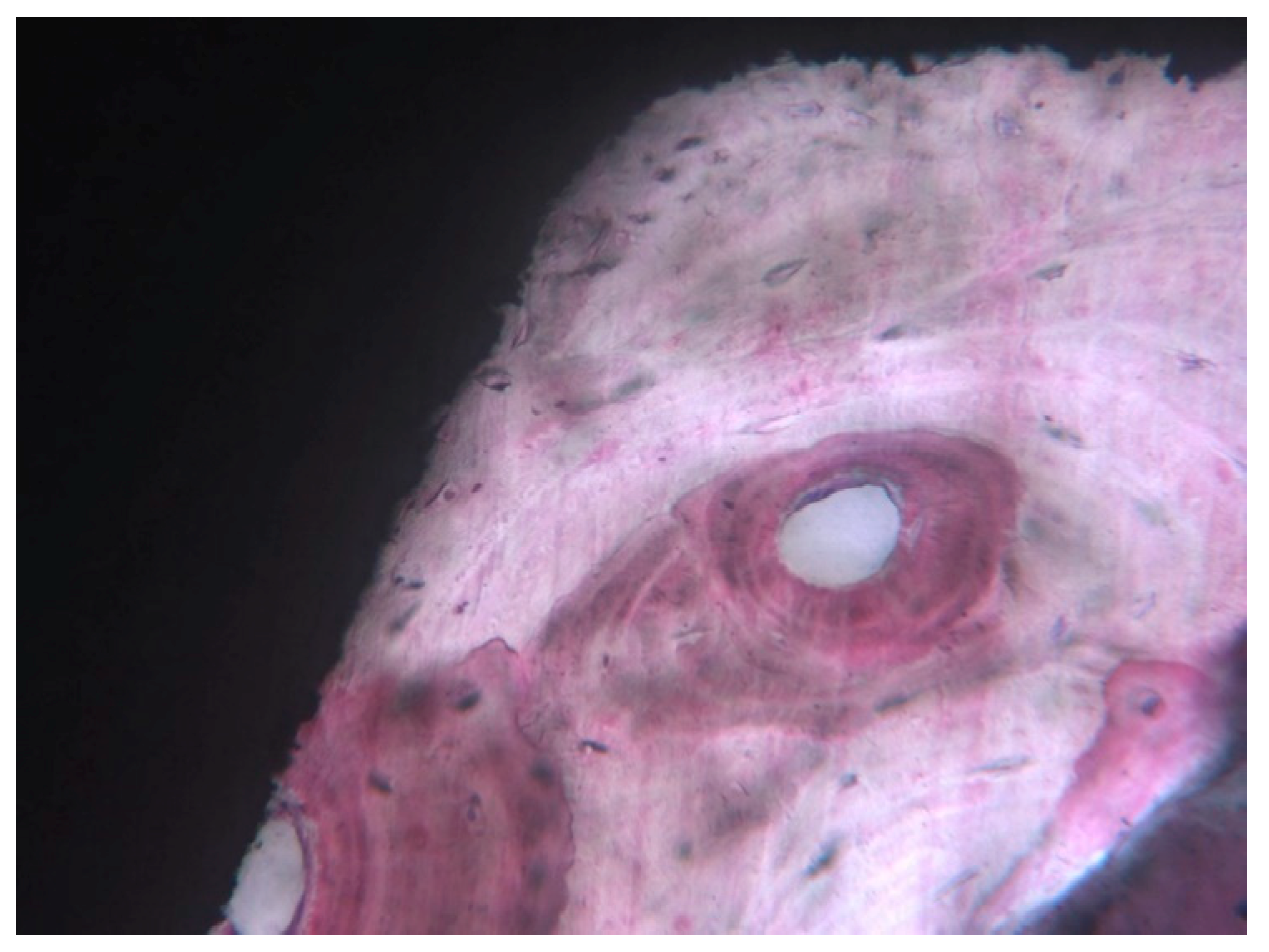 Ijerph 17 02088 g002