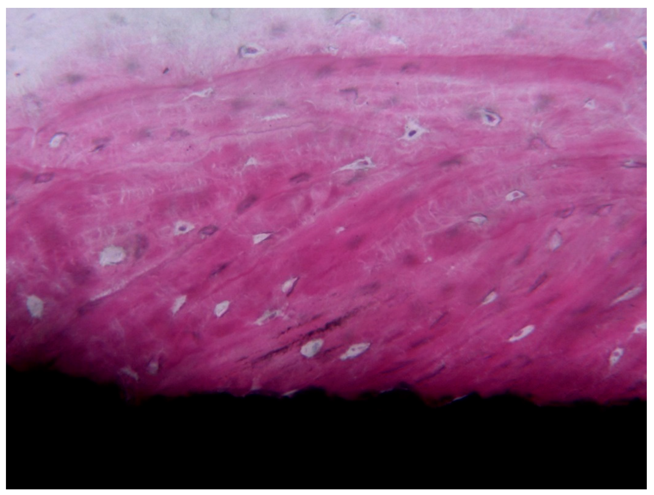 Ijerph 17 02088 g007