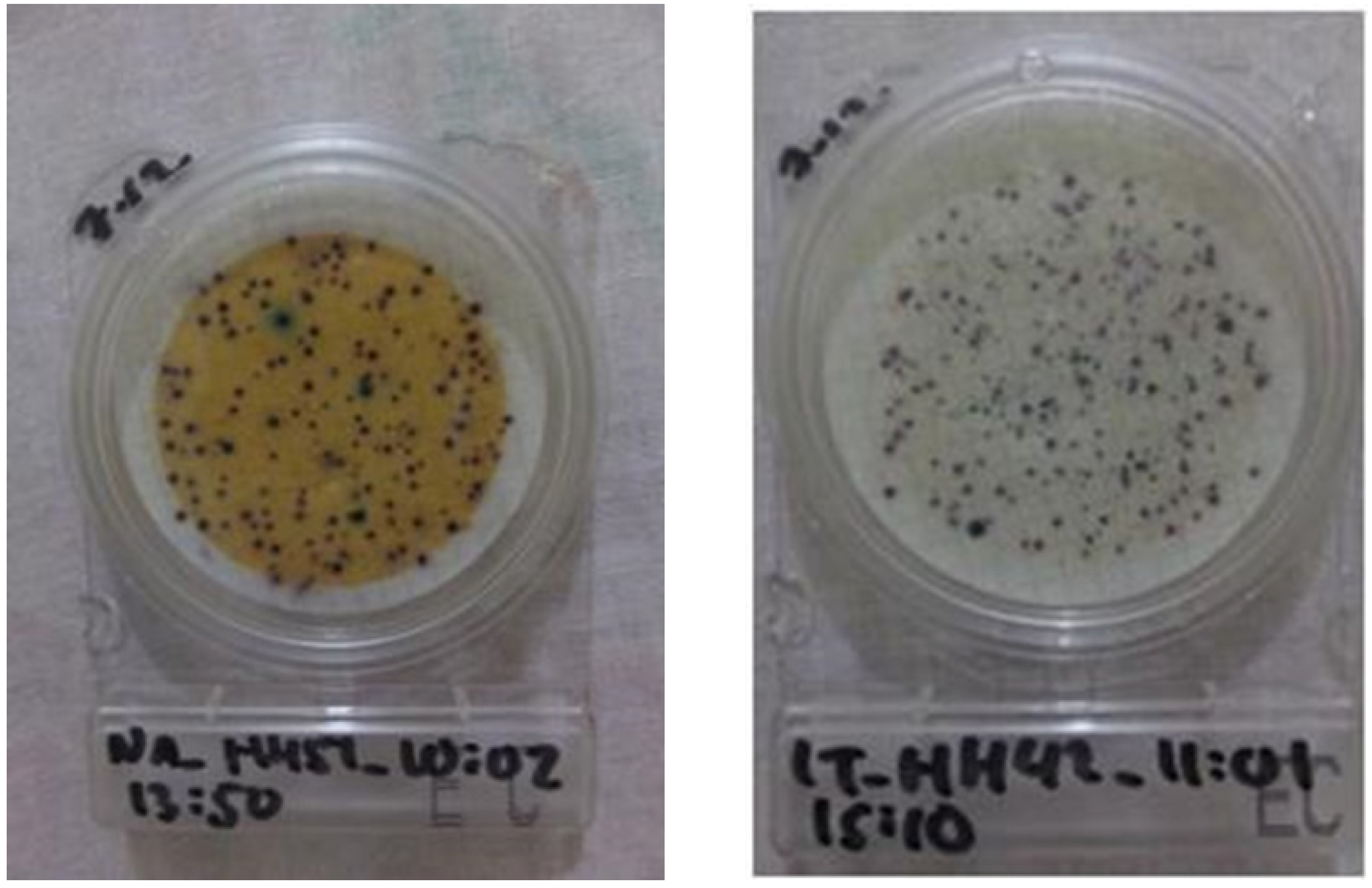 Ijerph 17 02172 g007