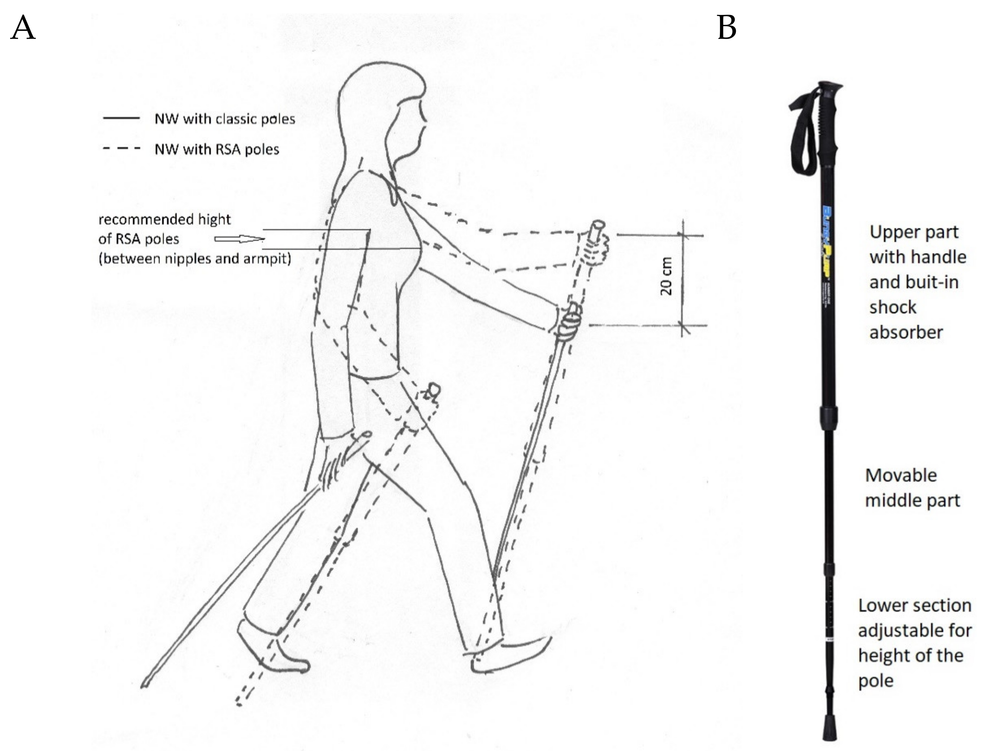 IJERPH Free FullText The Effect of Nordic Walking Training with