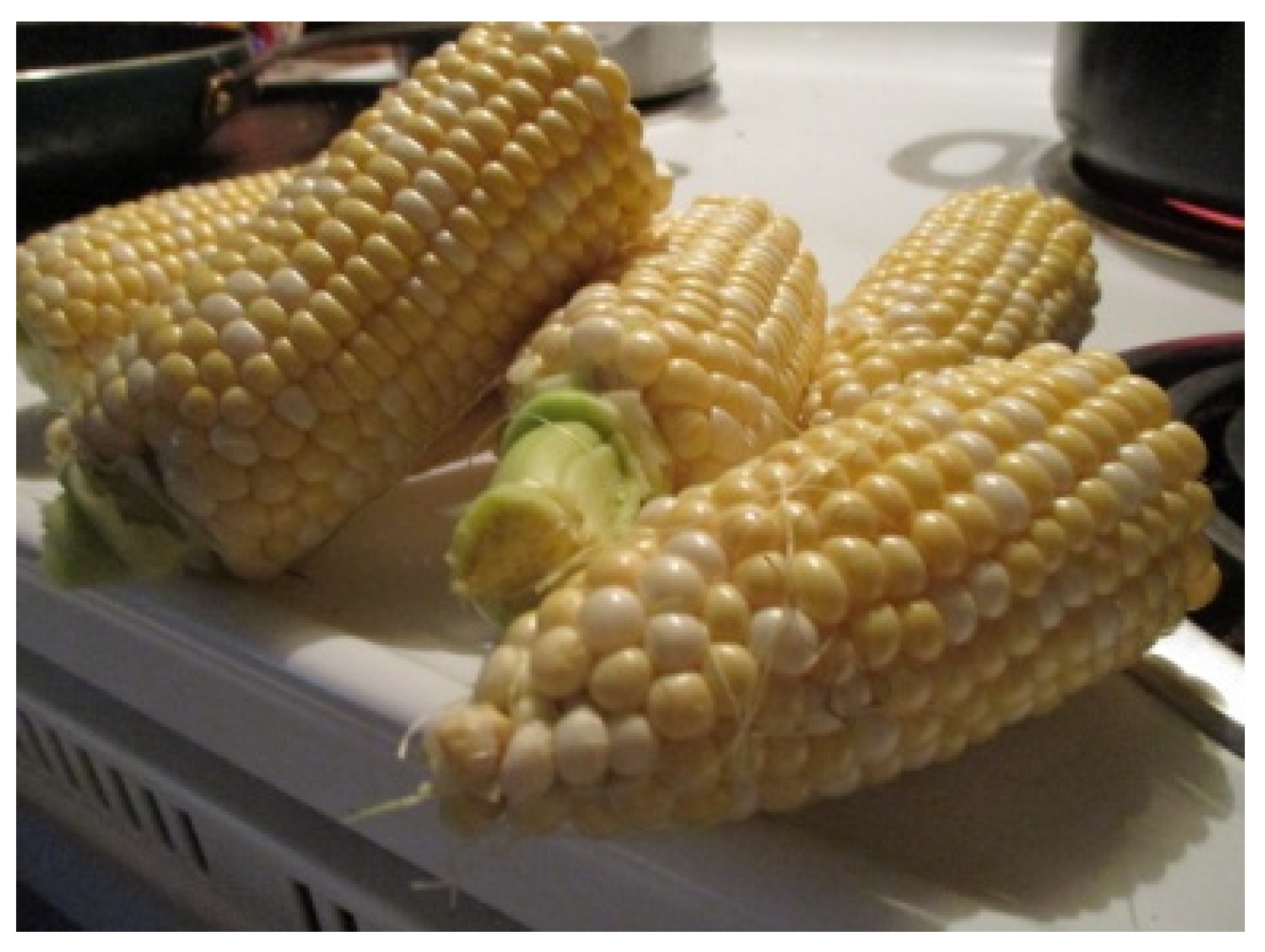 Ijerph 17 02214 g001