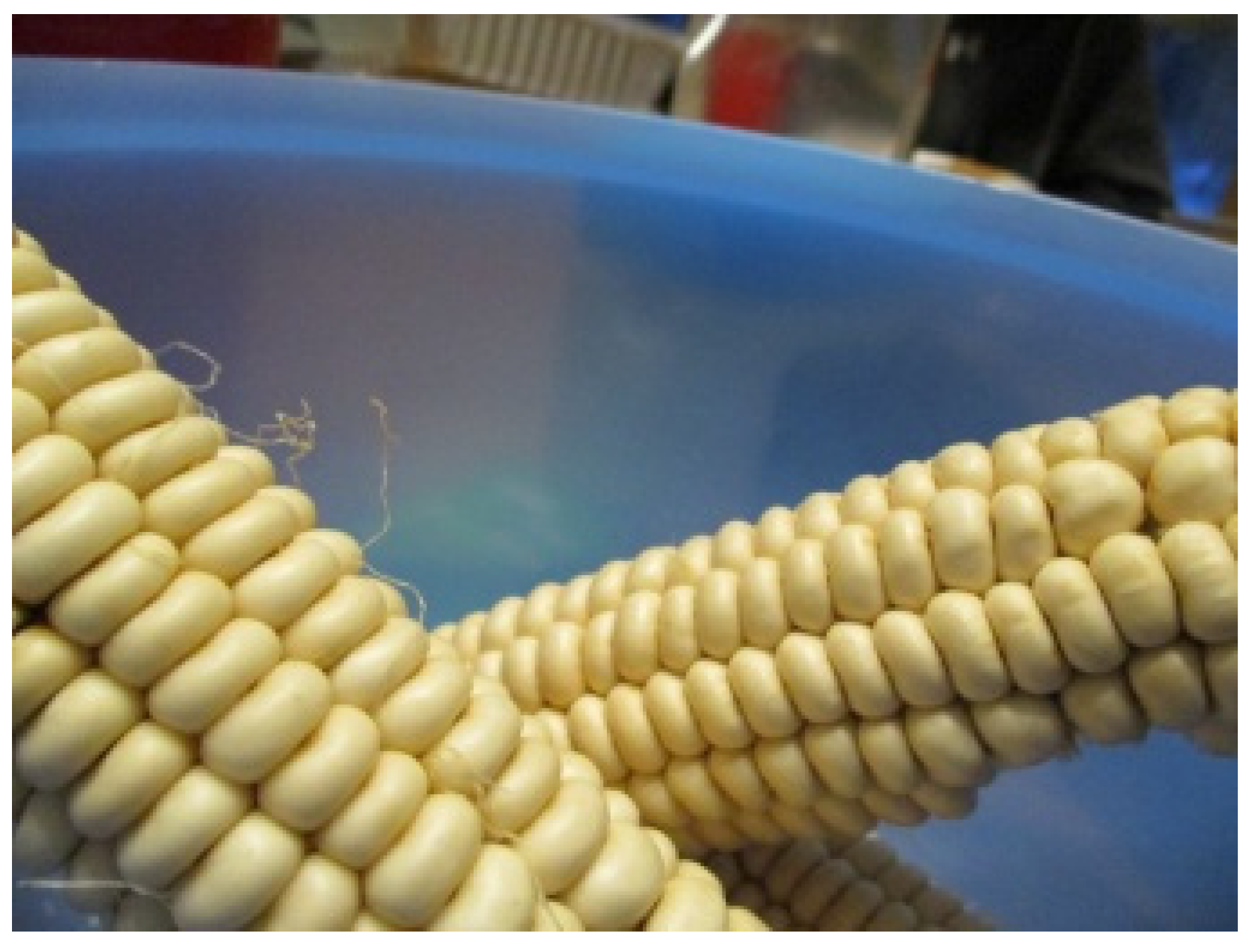 Ijerph 17 02214 g002