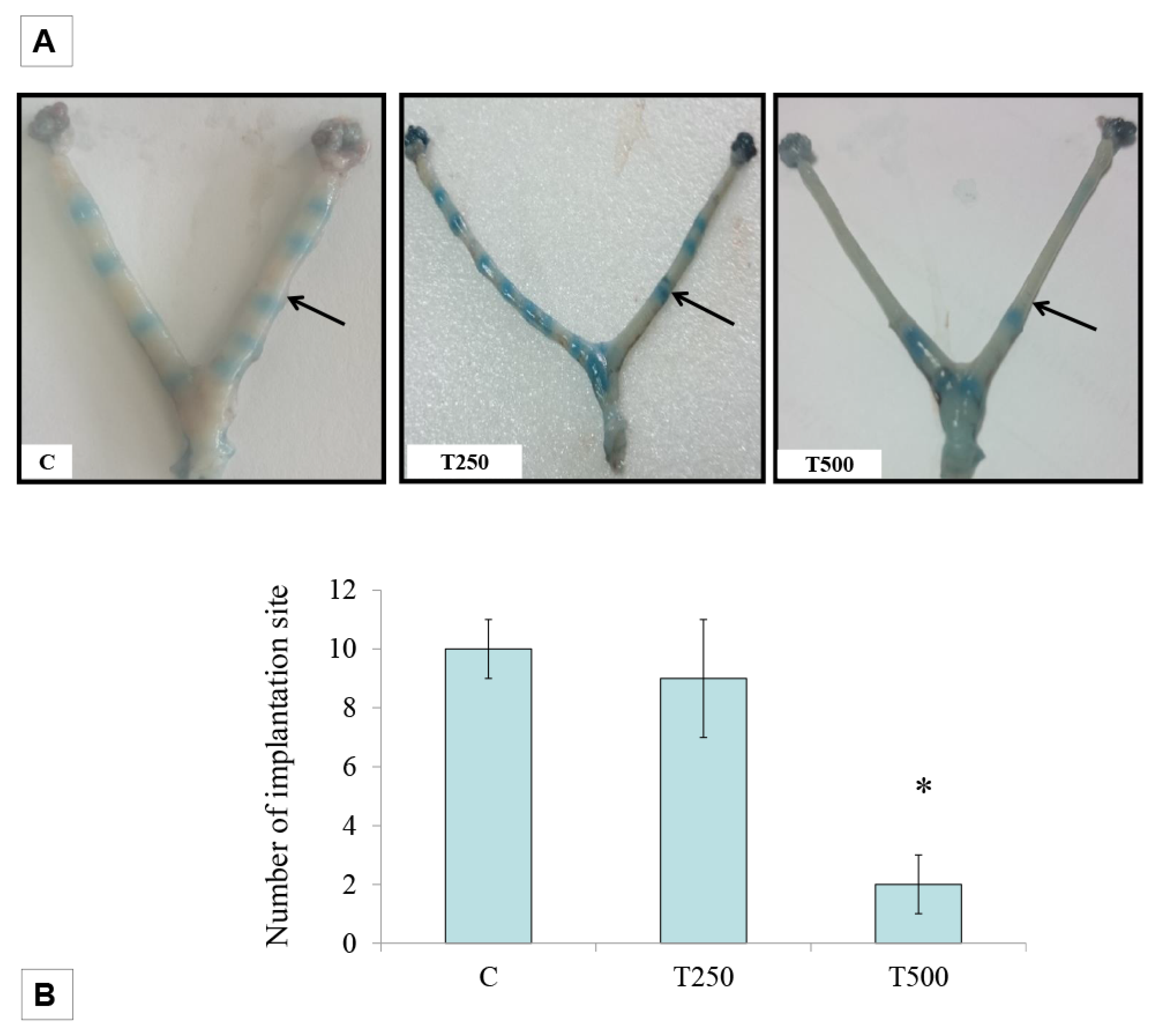 Ijerph 17 02293 g001 Ijerph 17 02293 g001
