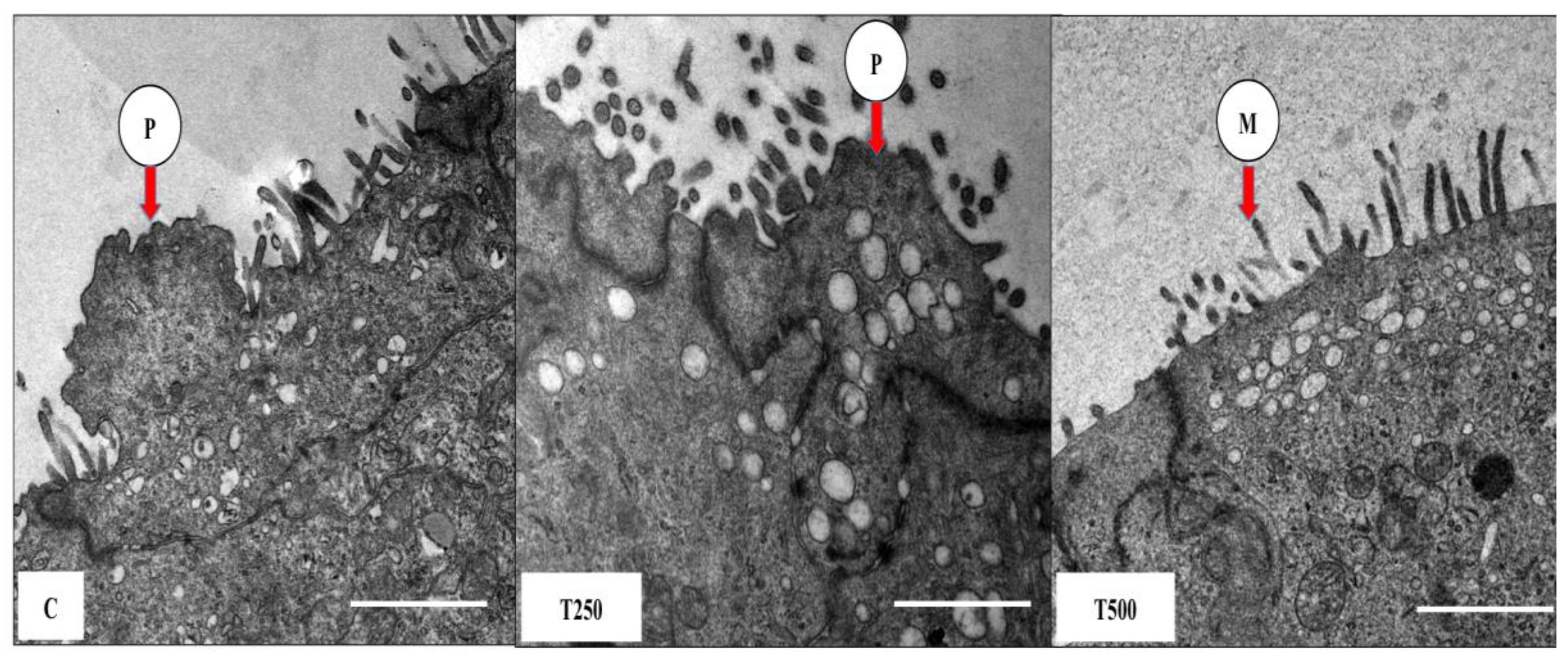 Ijerph 17 02293 g002 Ijerph 17 02293 g002