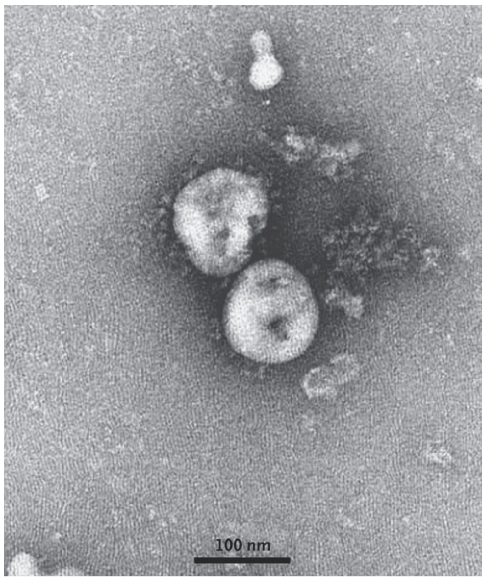 Ijerph 17 02323 g003