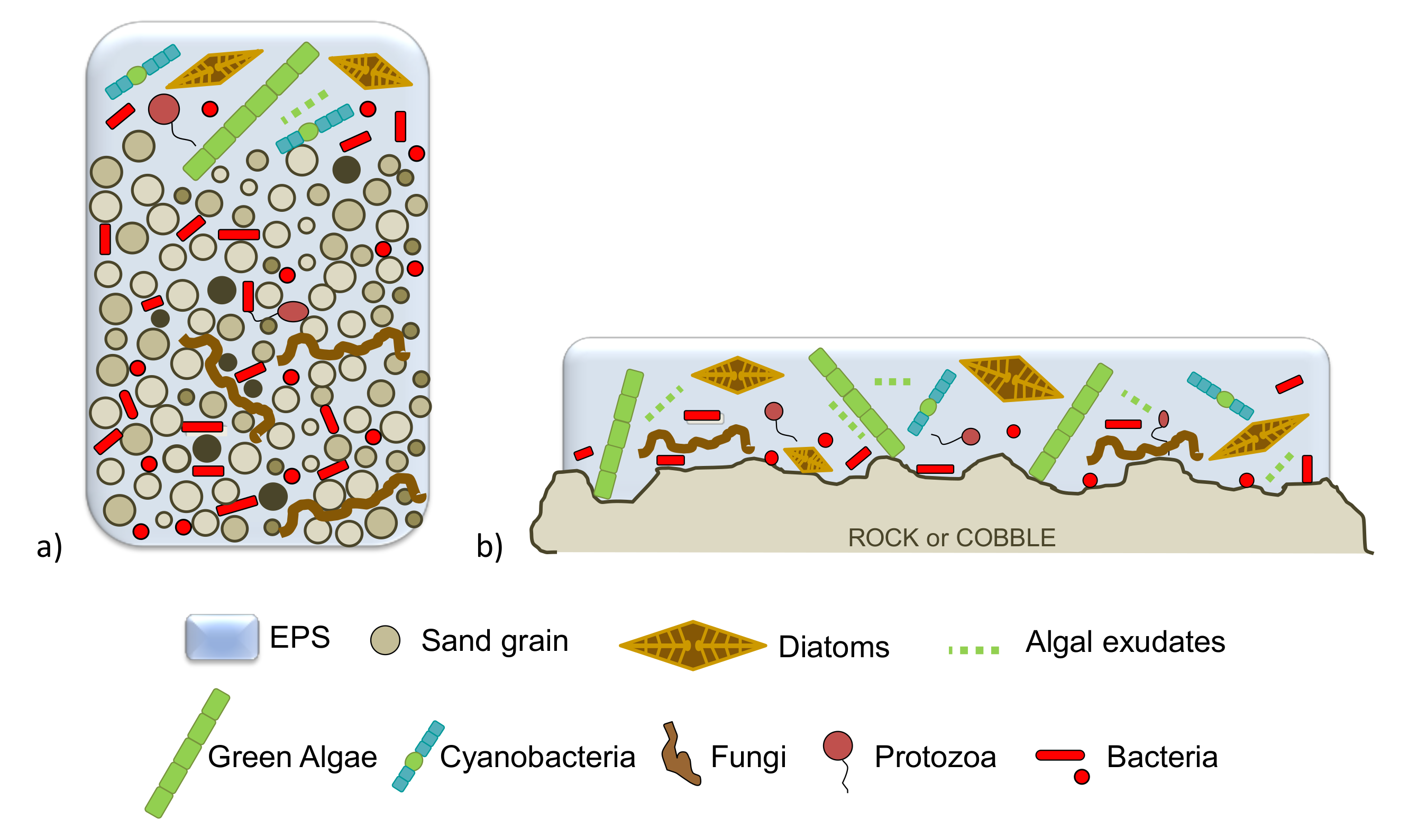 Ijerph 17 02331 g002