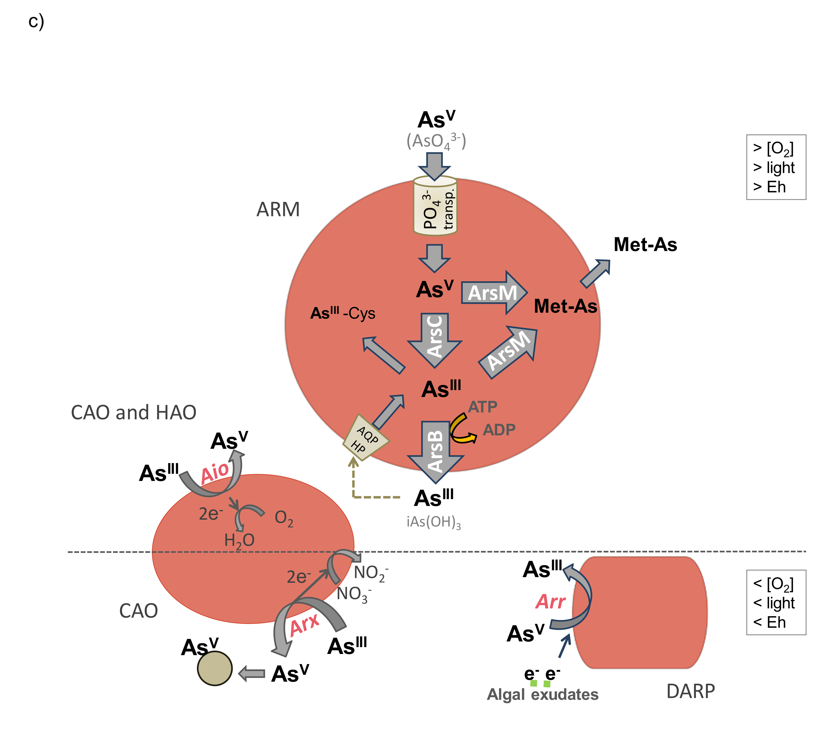 Ijerph 17 02331 g004b