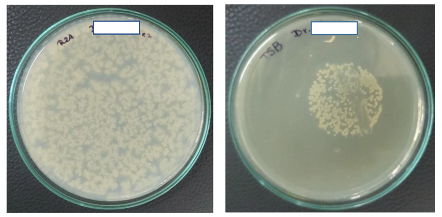 Ijerph 17 02348 g001