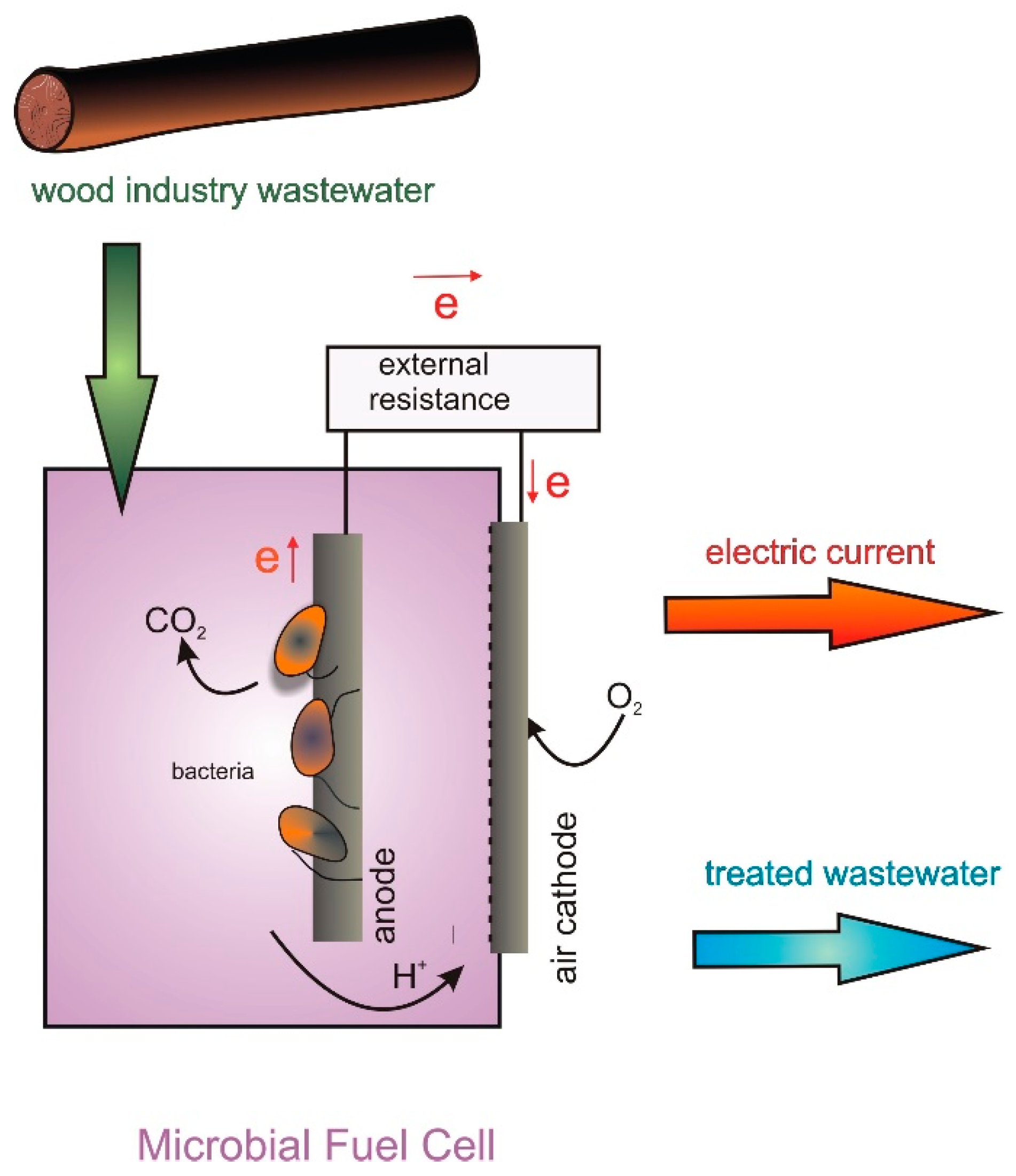 Ijerph 17 02369 g001