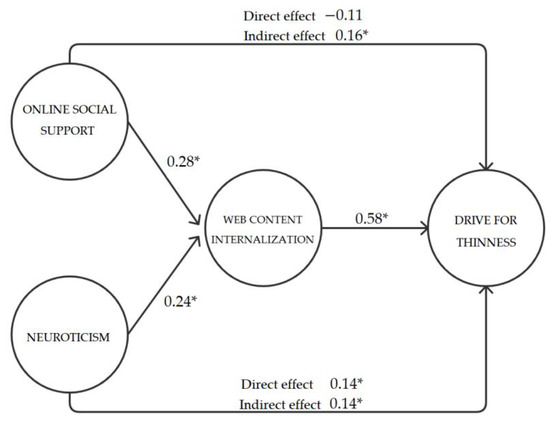 The Direct and Indirect Effects of Online Social Support 