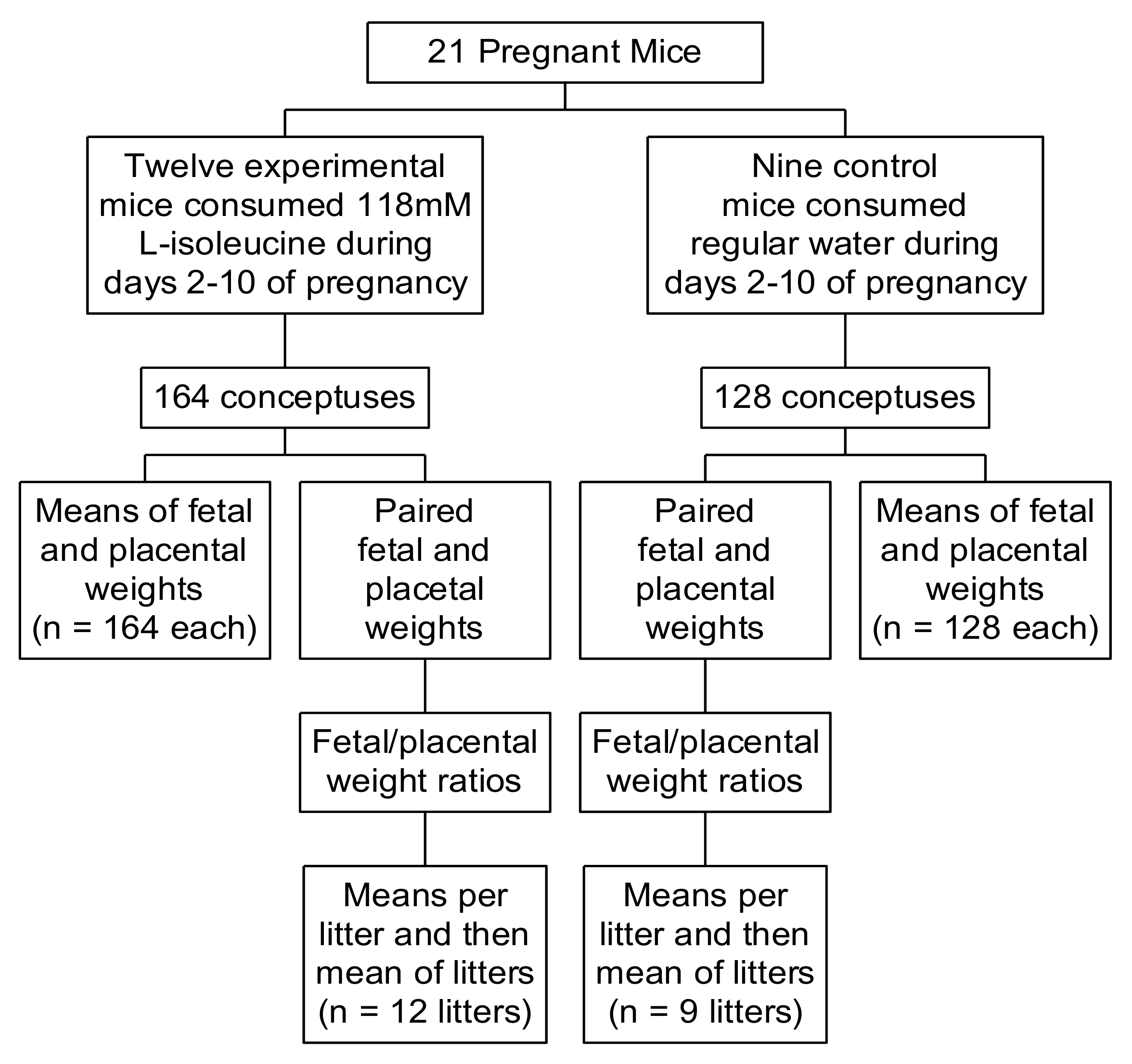 Ijerph 17 02445 g001