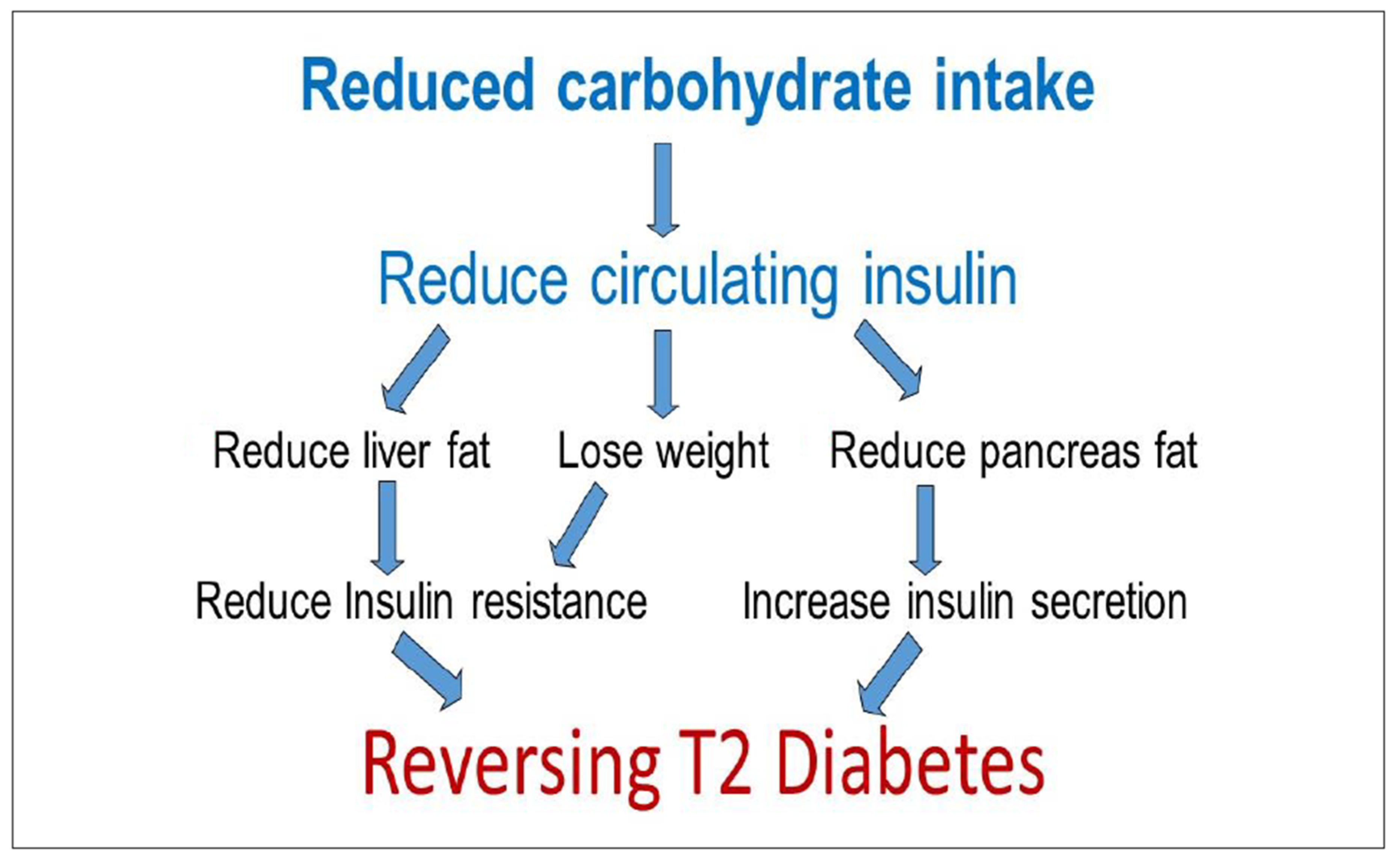 ketogenic diet diabetes type 2 pubmed)