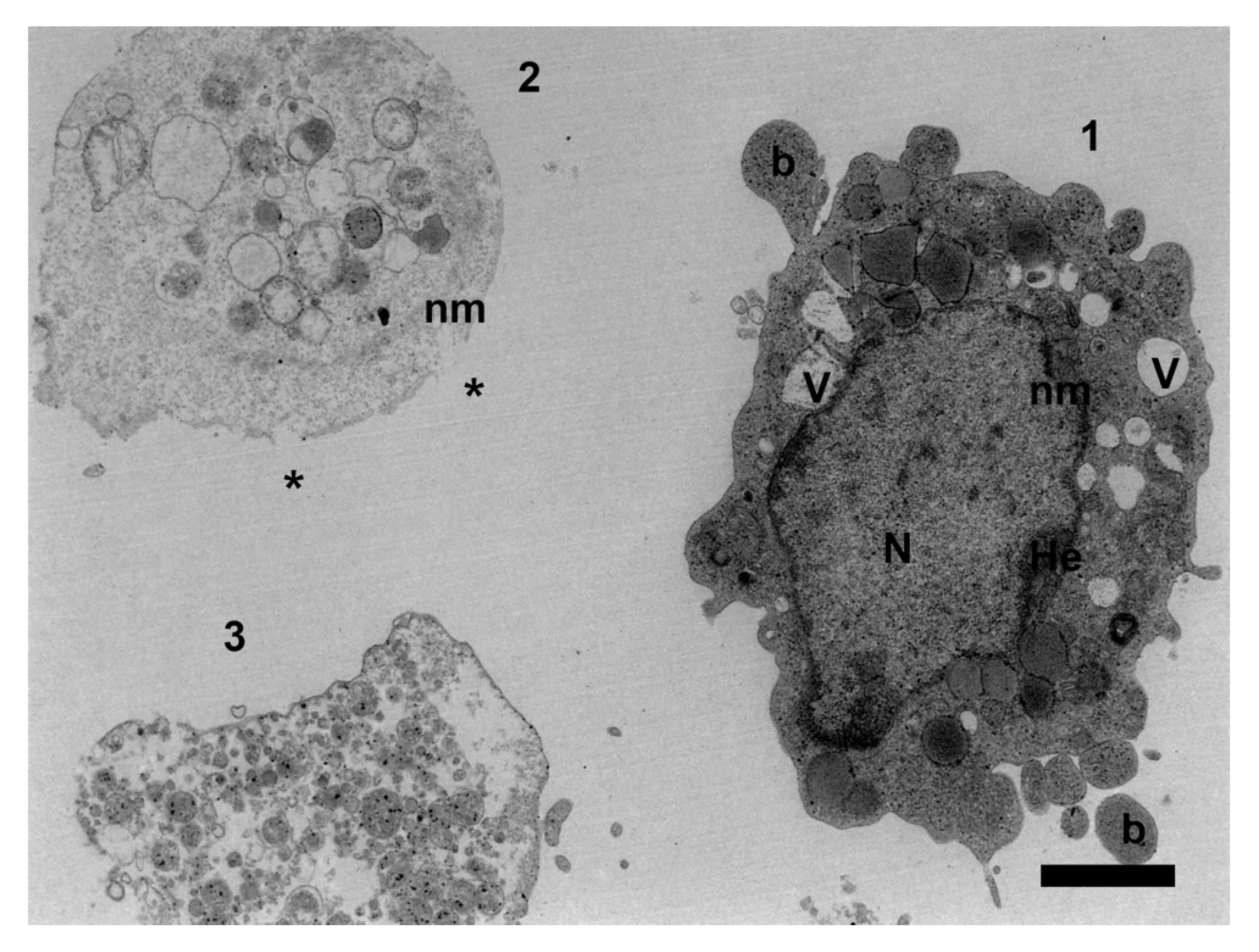 Ijerph 17 02580 g002