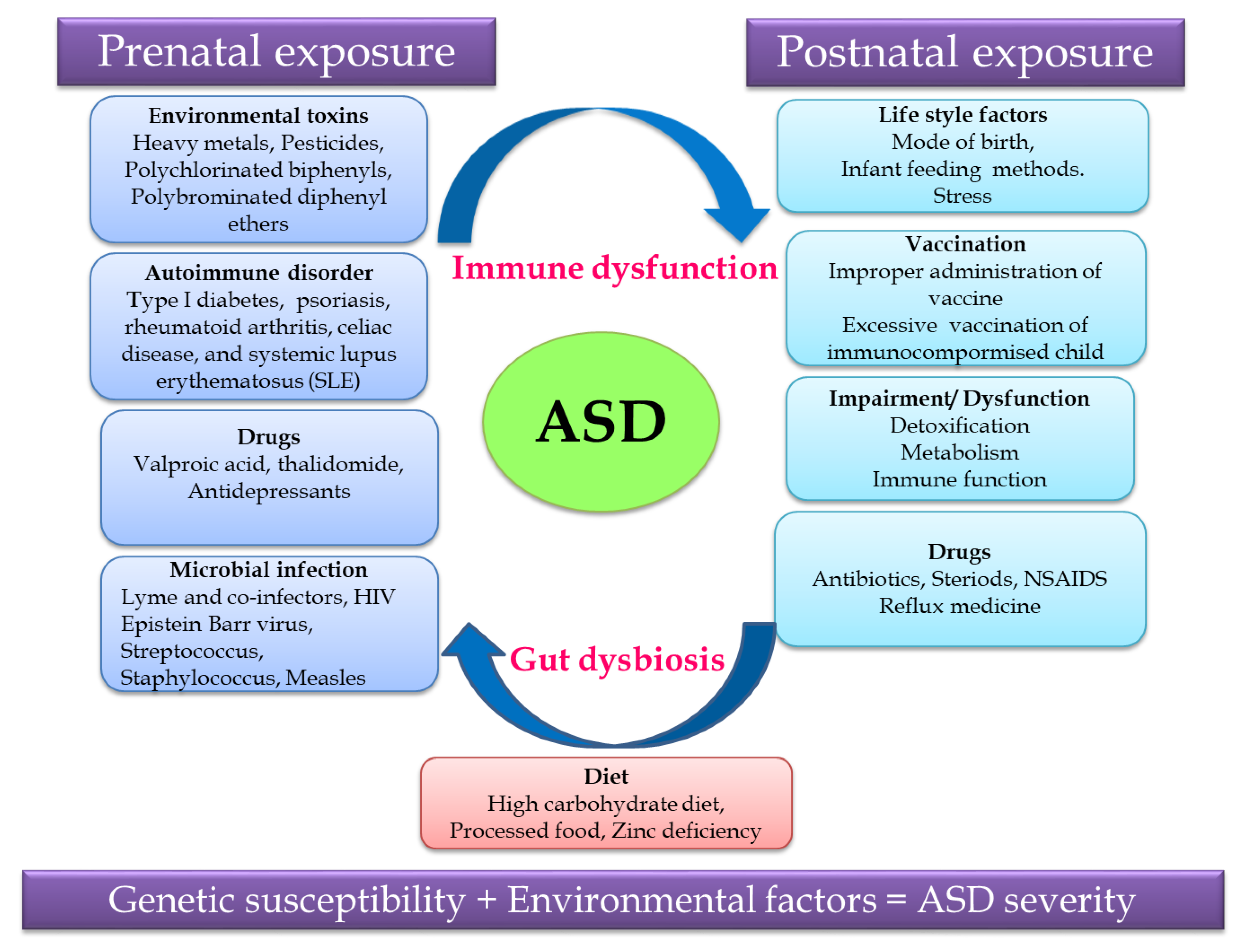 Ijerph Free Full Text The Role Of Microbiome Dietary Supplements And Probiotics In Autism Spectrum Disorder