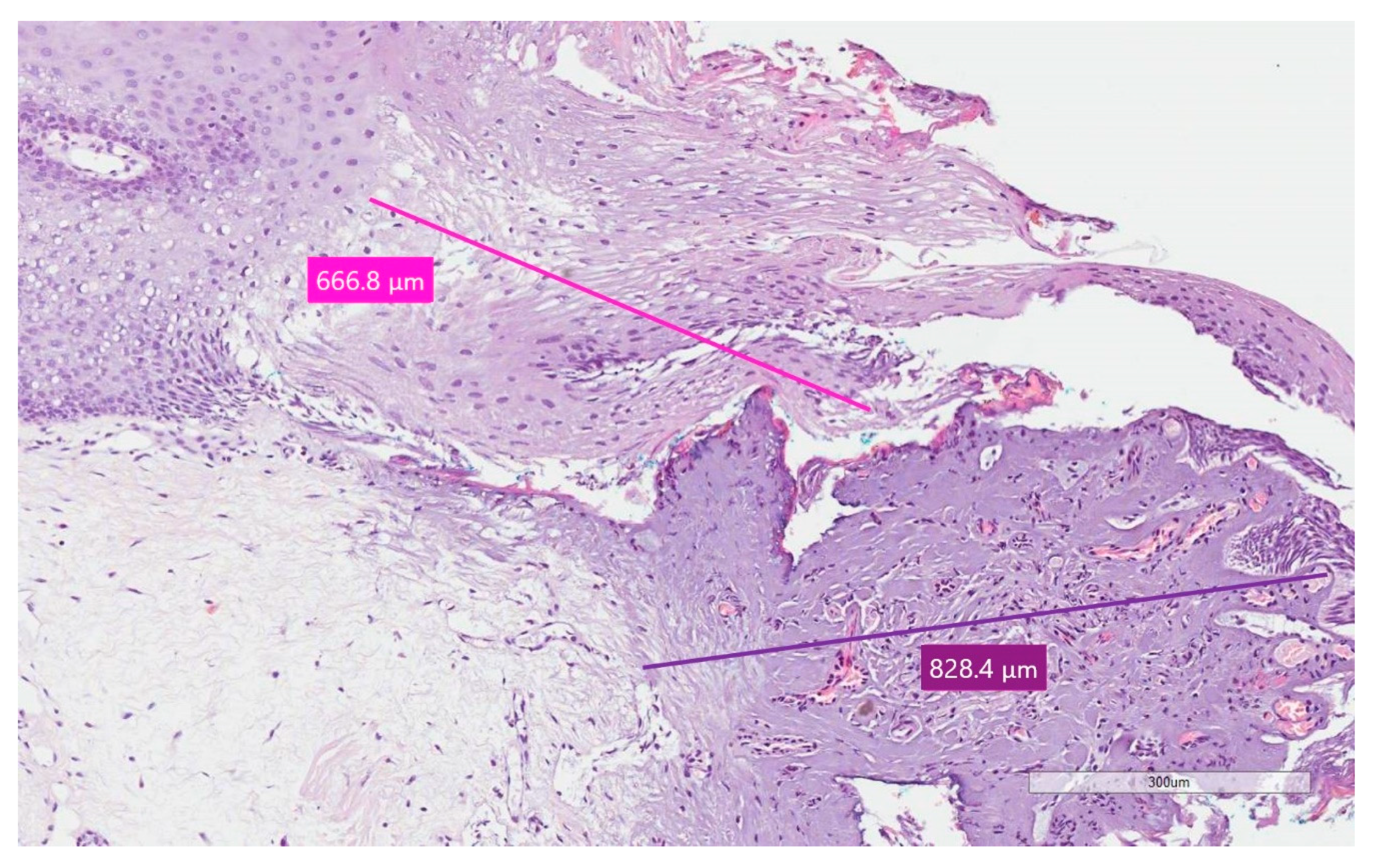 Ijerph 17 02651 g002 Ijerph 17 02651 g002