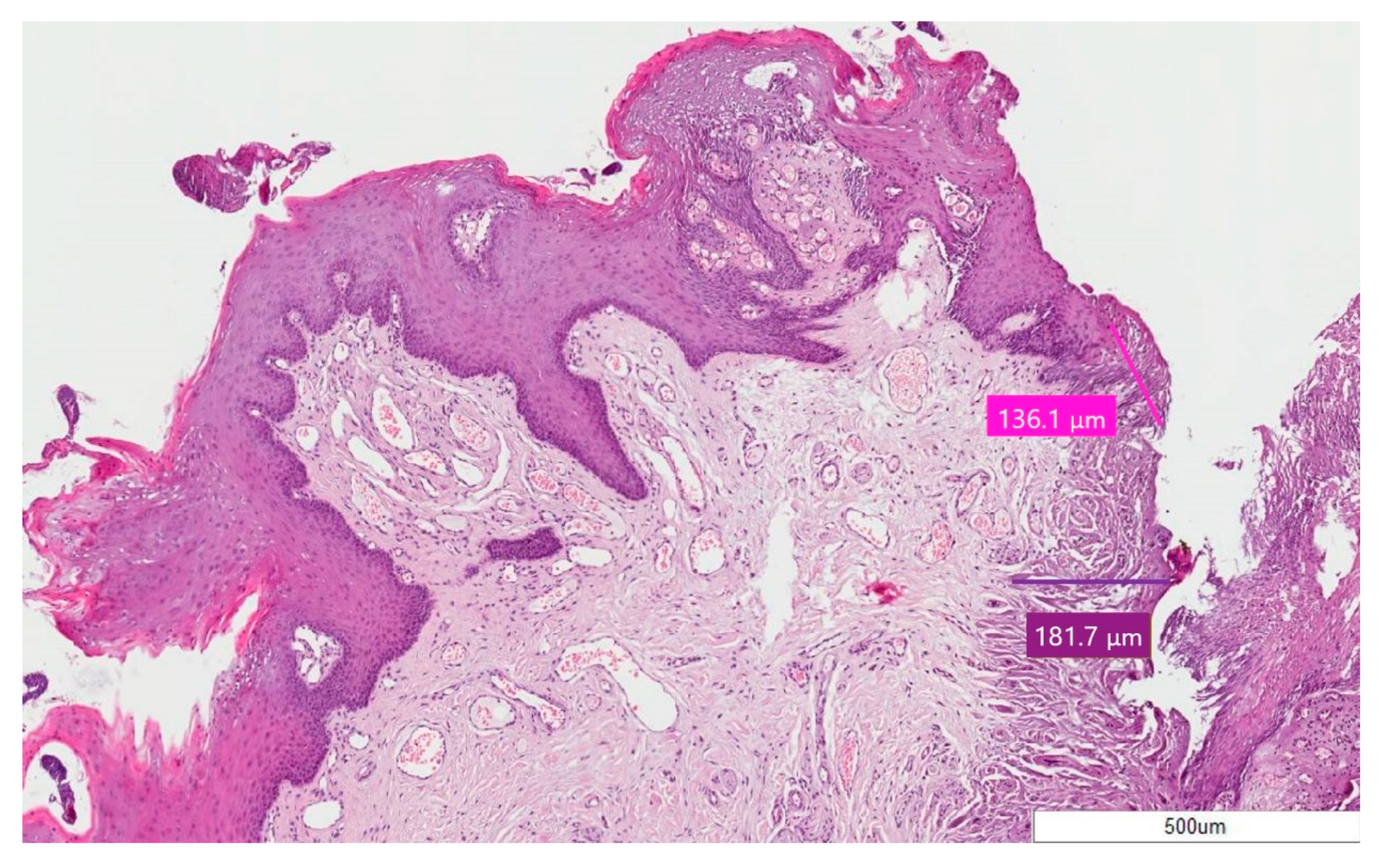 Ijerph 17 02651 g003 Ijerph 17 02651 g003