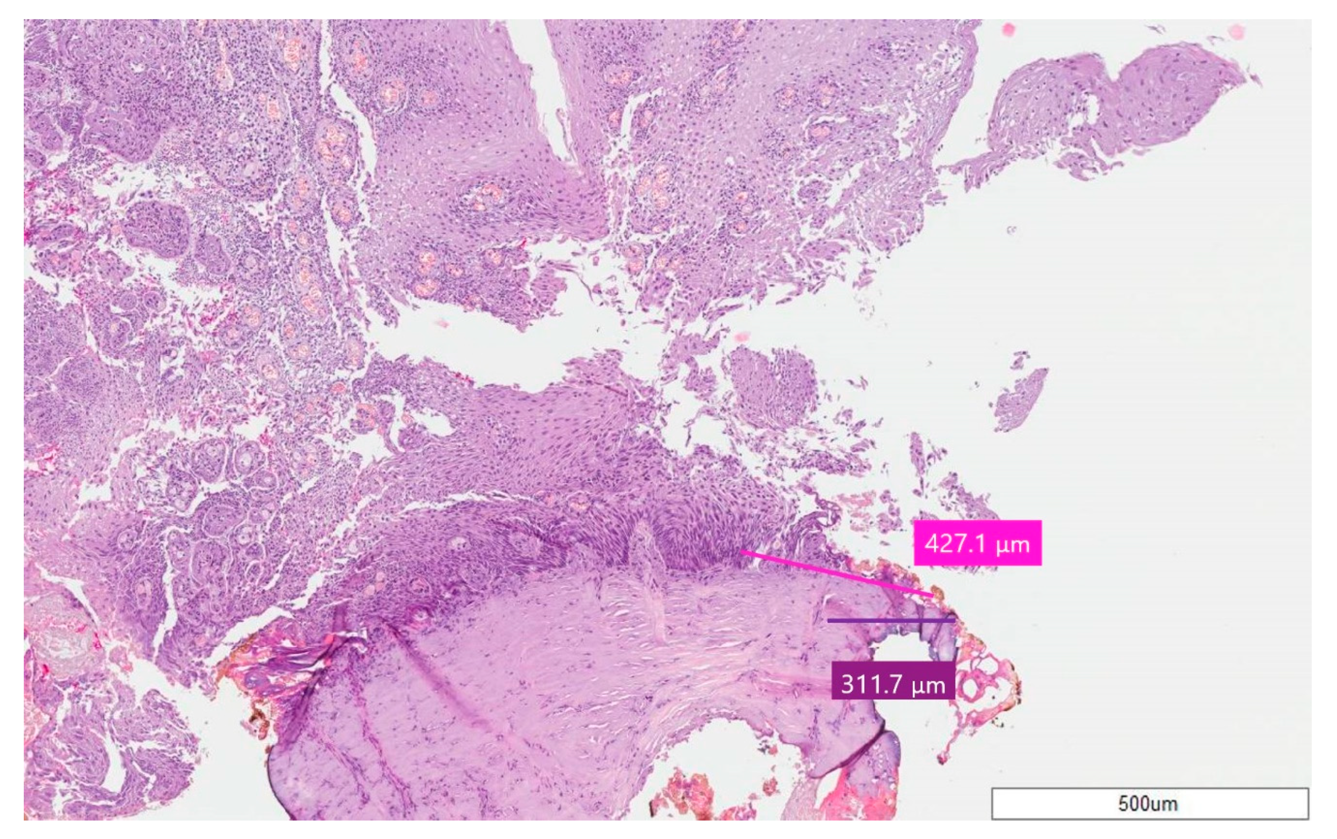 Ijerph 17 02651 g004 Ijerph 17 02651 g004