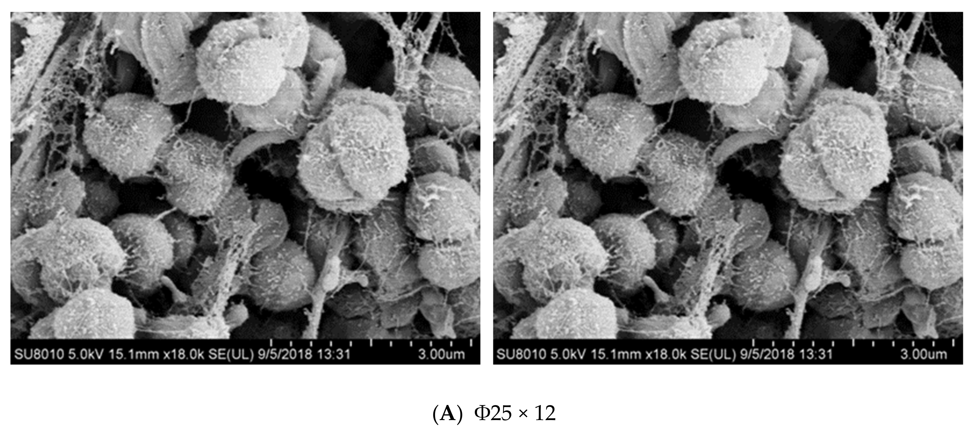 Ijerph 17 02667 g006a