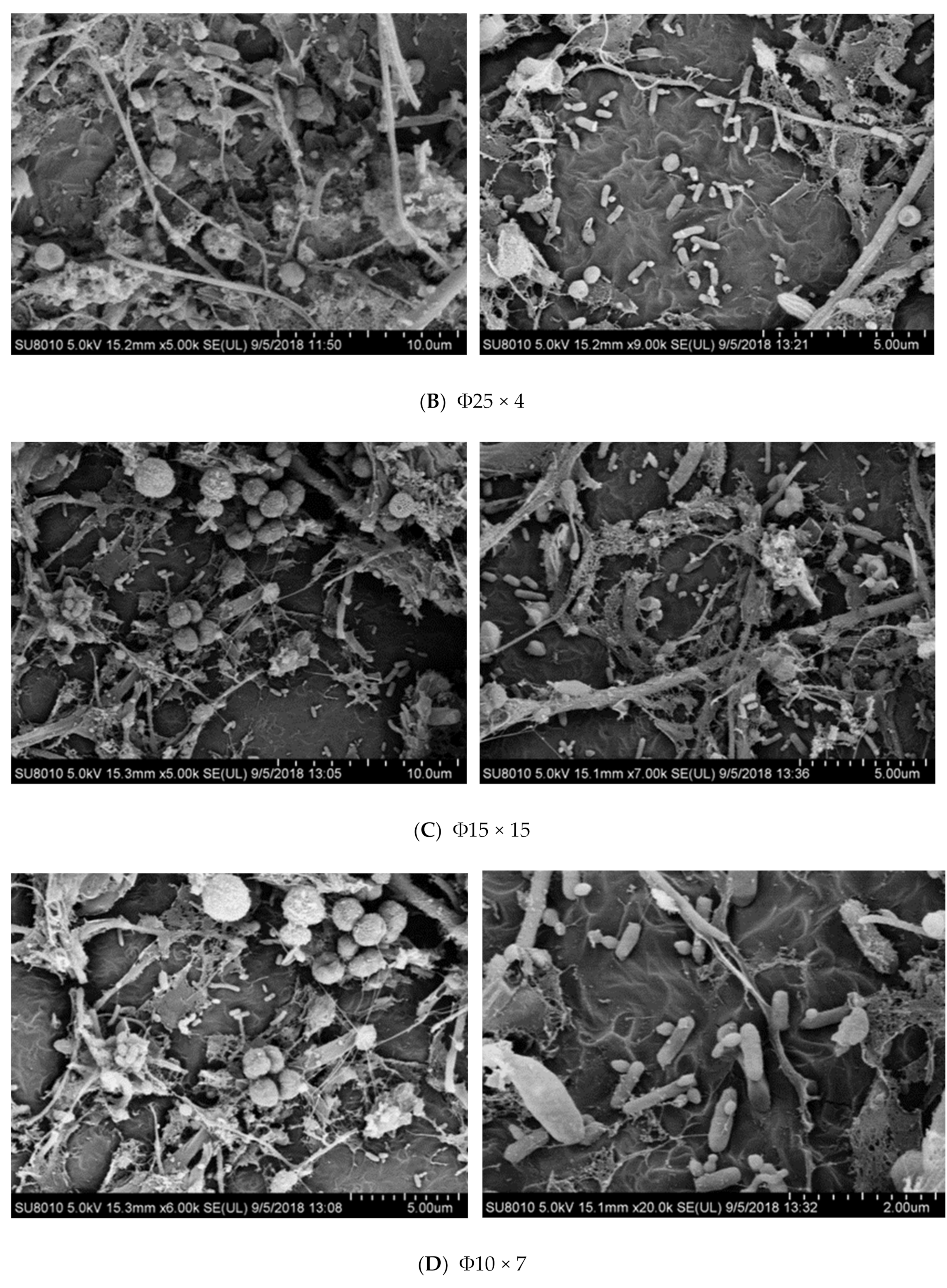 Ijerph 17 02667 g006b