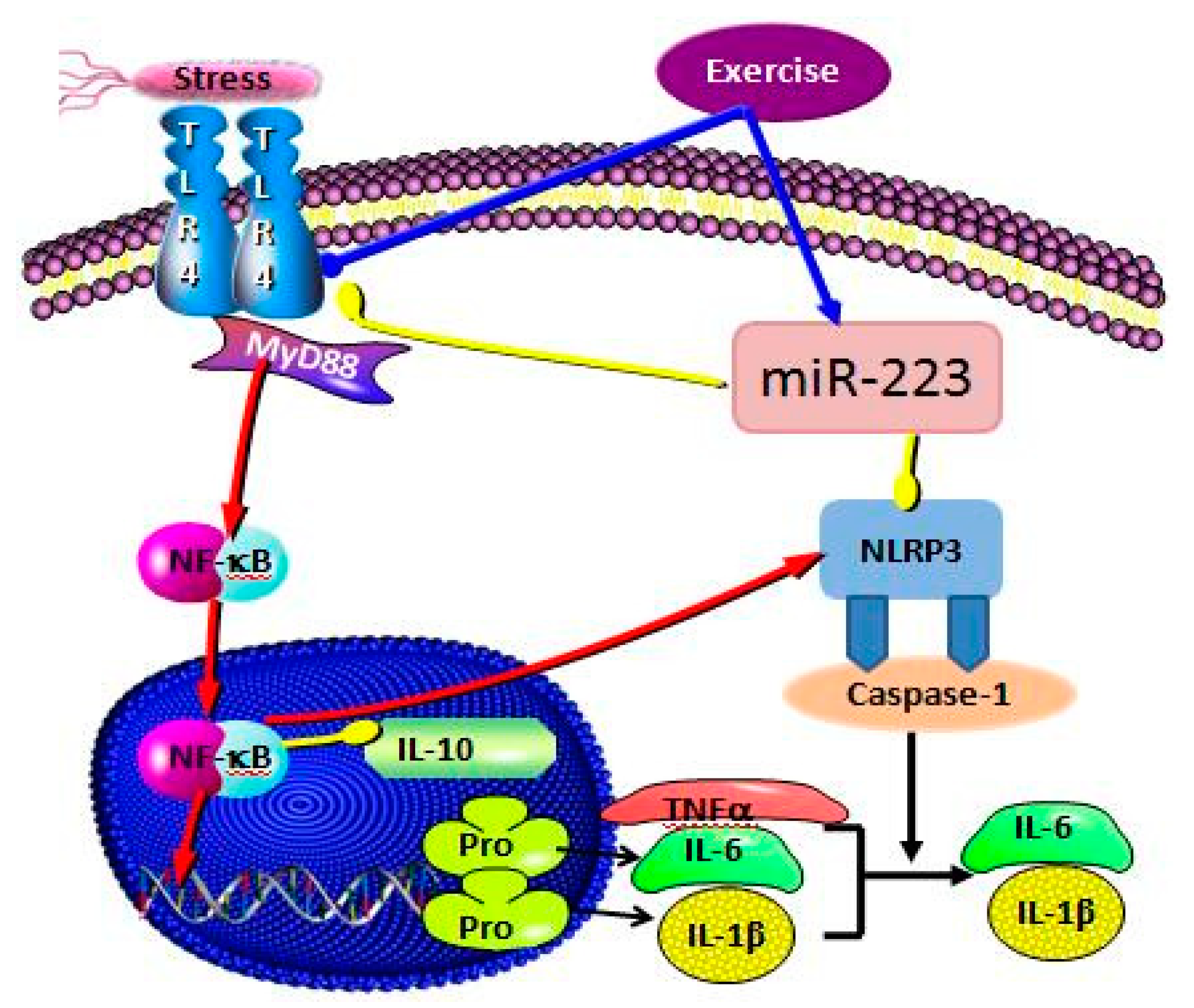 Ijerph 17 02676 g008 Ijerph 17 02676 g008
