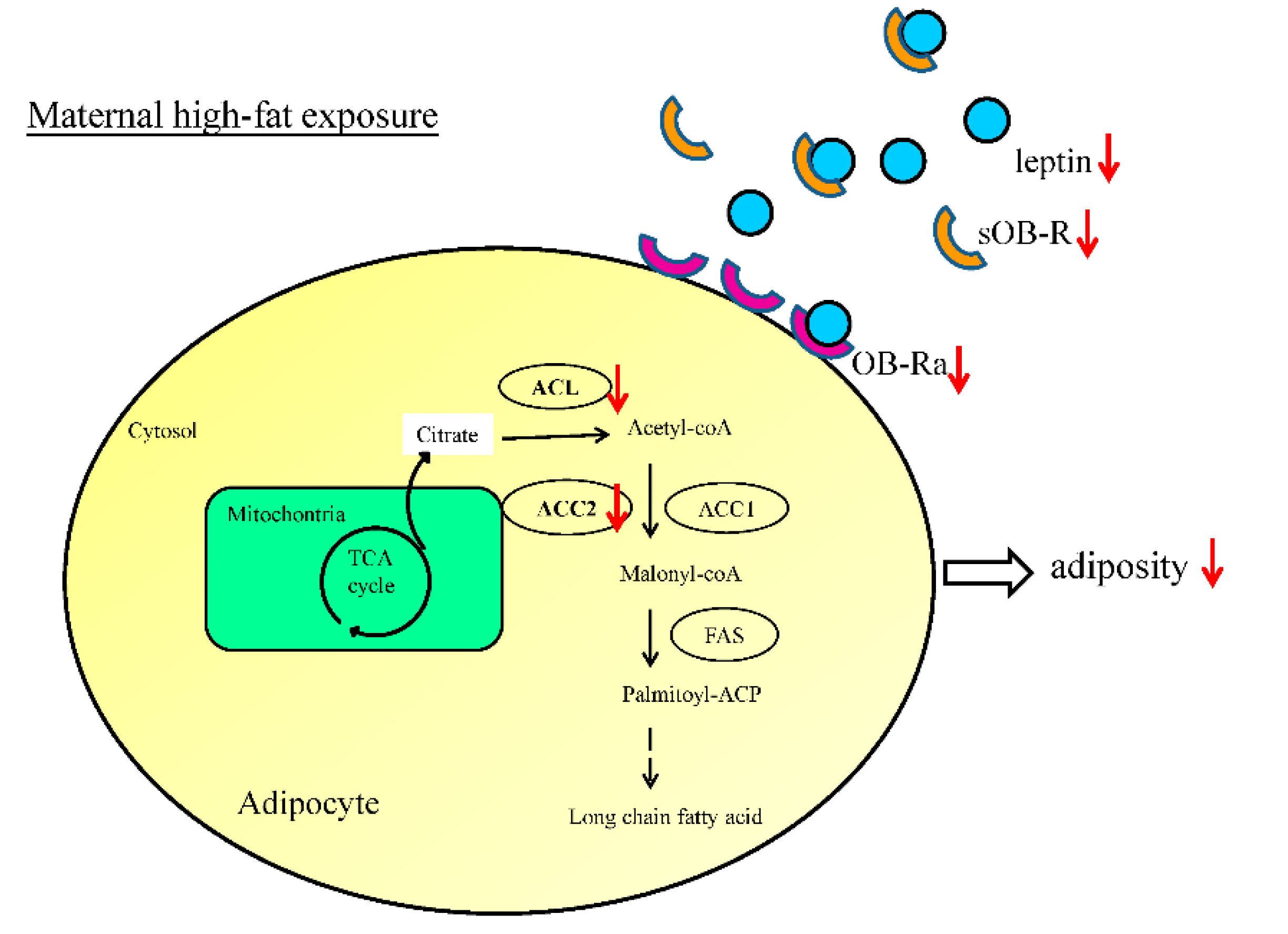 Ijerph 17 02780 g006
