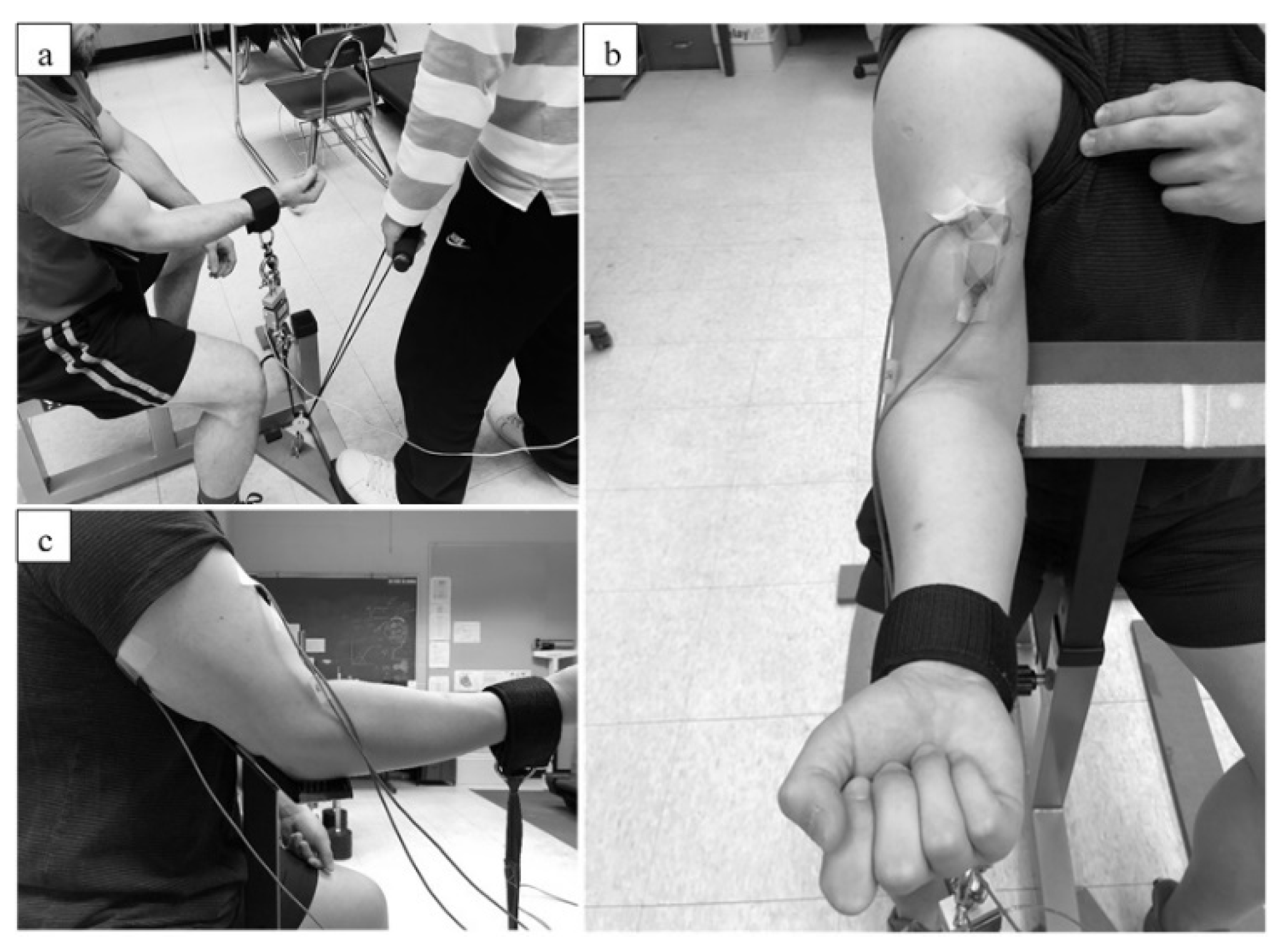 Ijerph 17 02799 g001