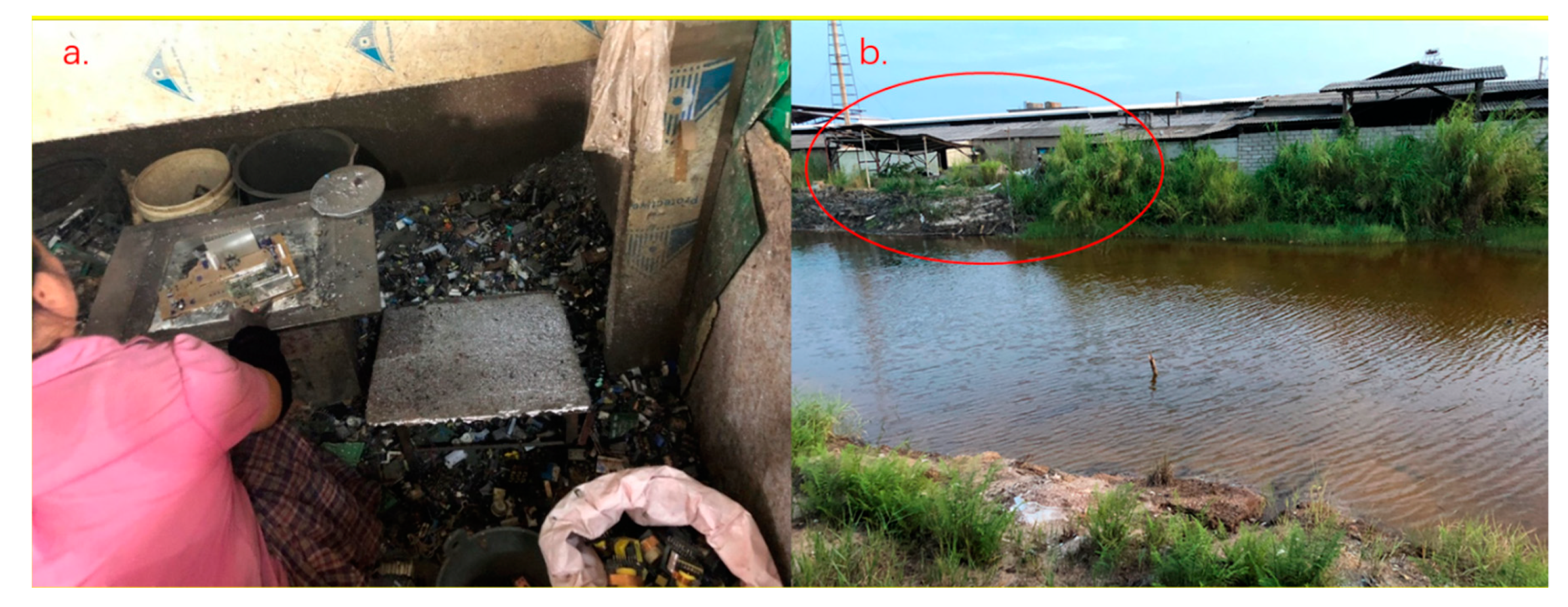 Ijerph 17 02802 g002