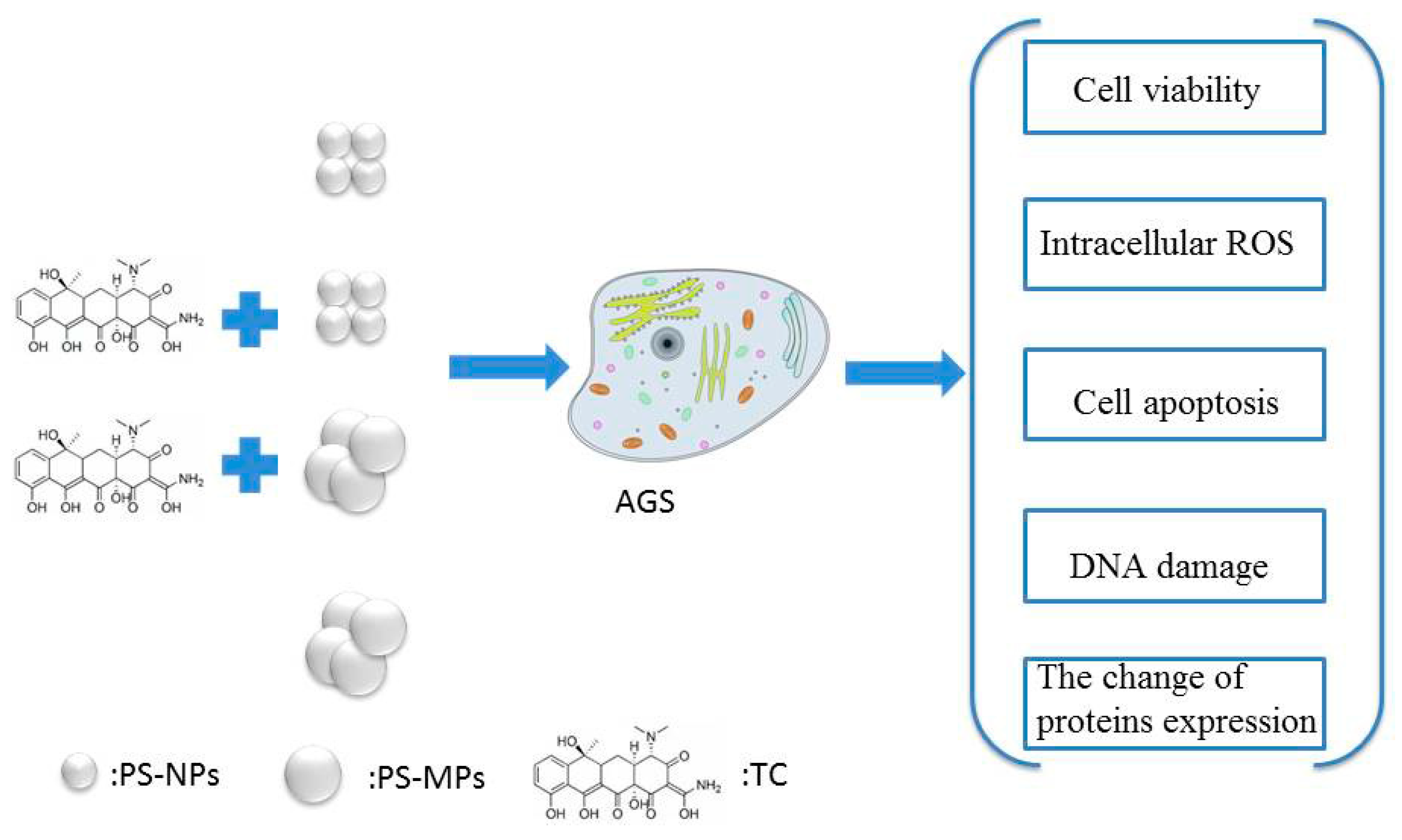 Ijerph 17 02808 g001