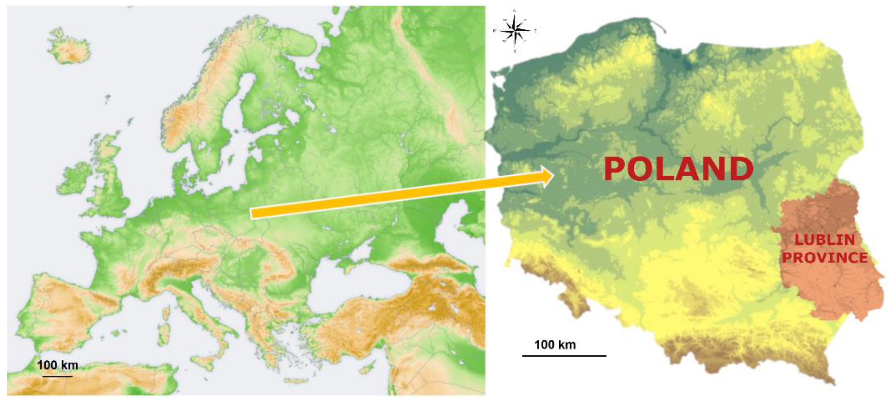 Ijerph 17 02814 g001