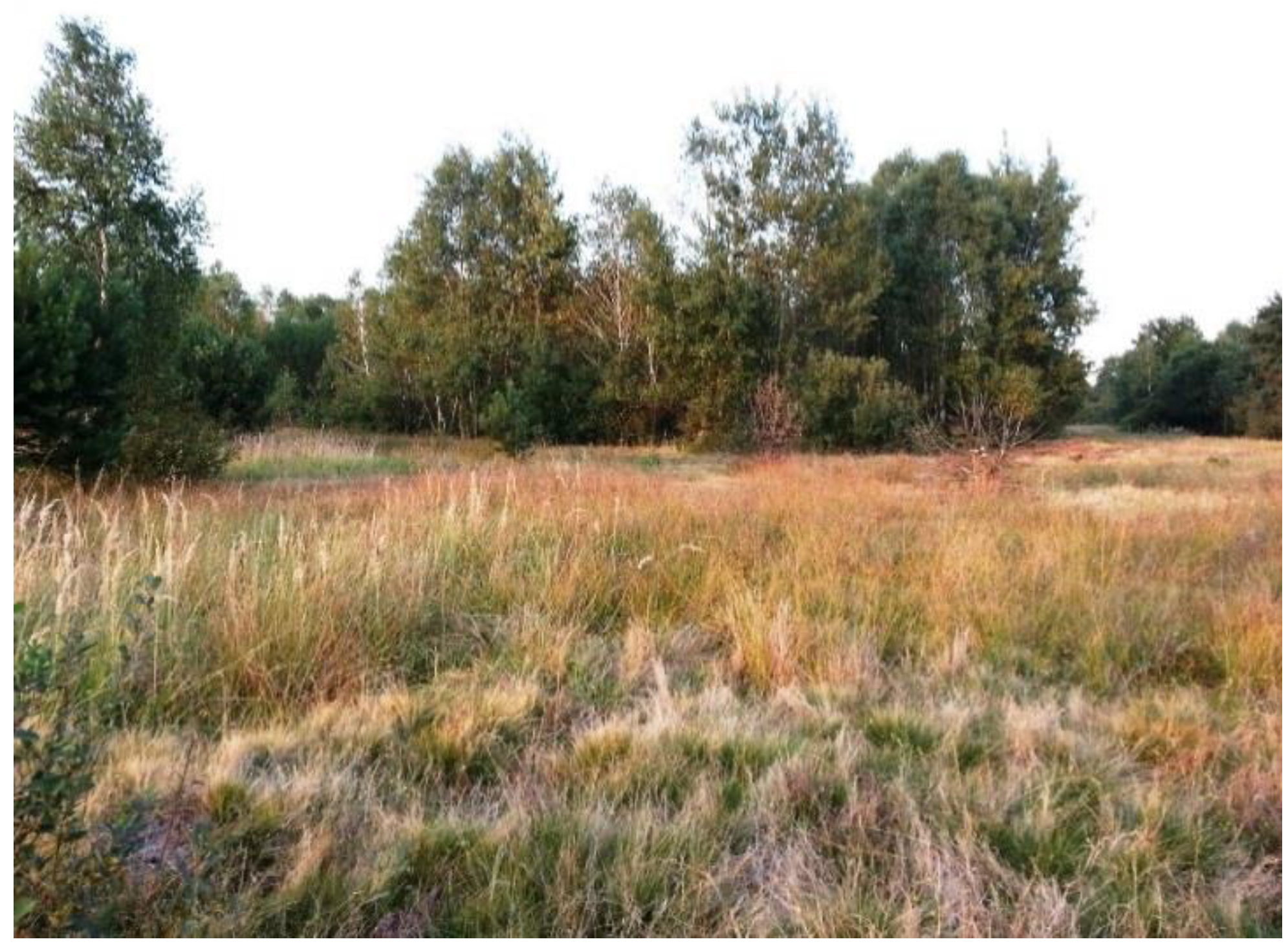 Ijerph 17 02814 g003