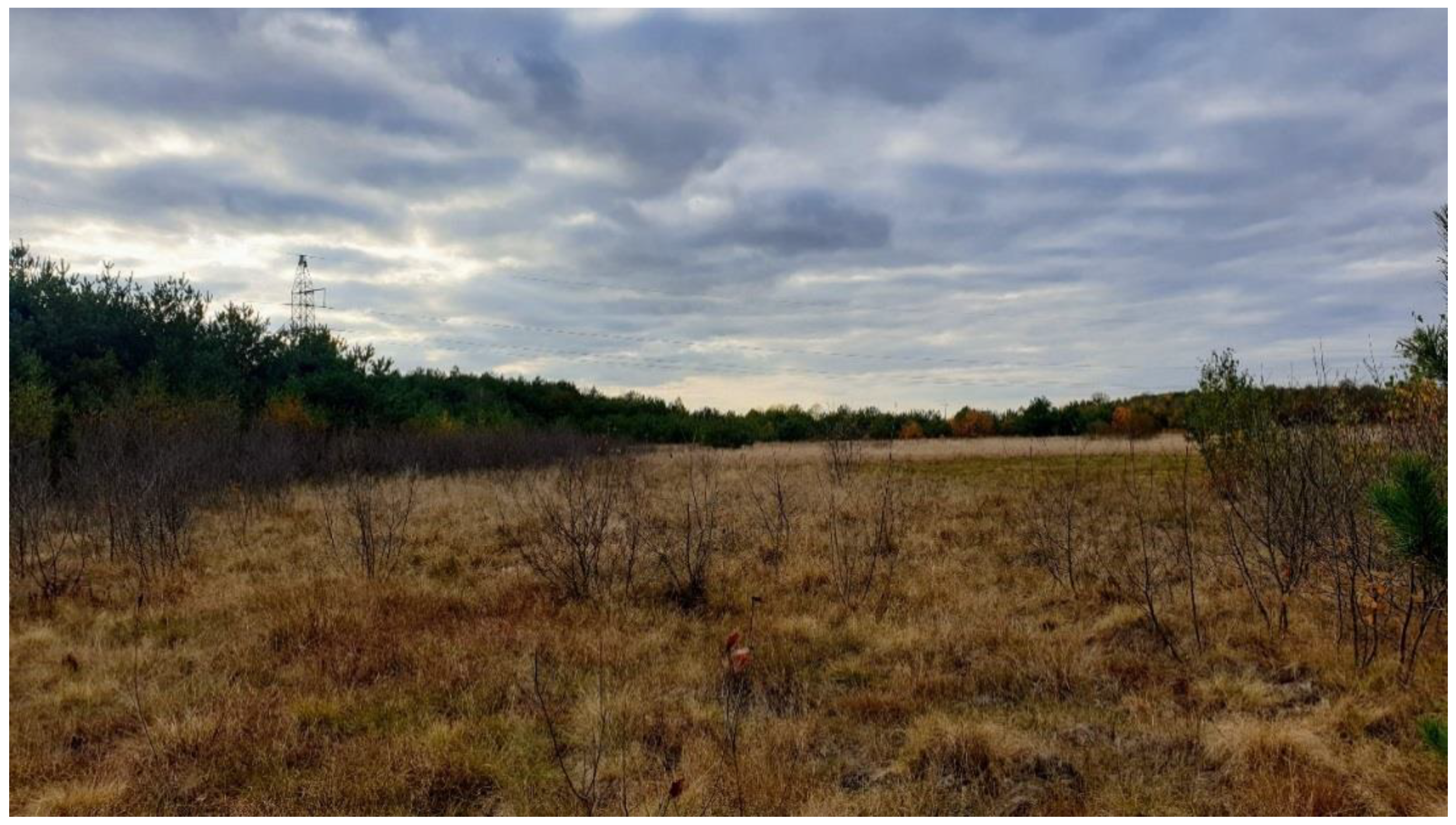 Ijerph 17 02814 g004