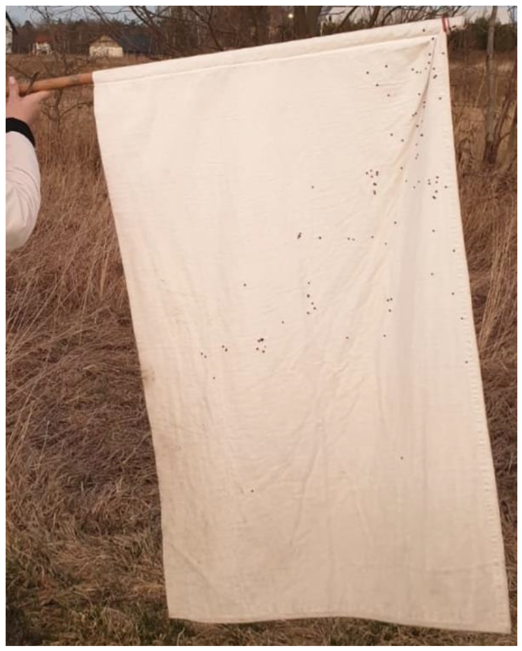 Ijerph 17 02814 g005