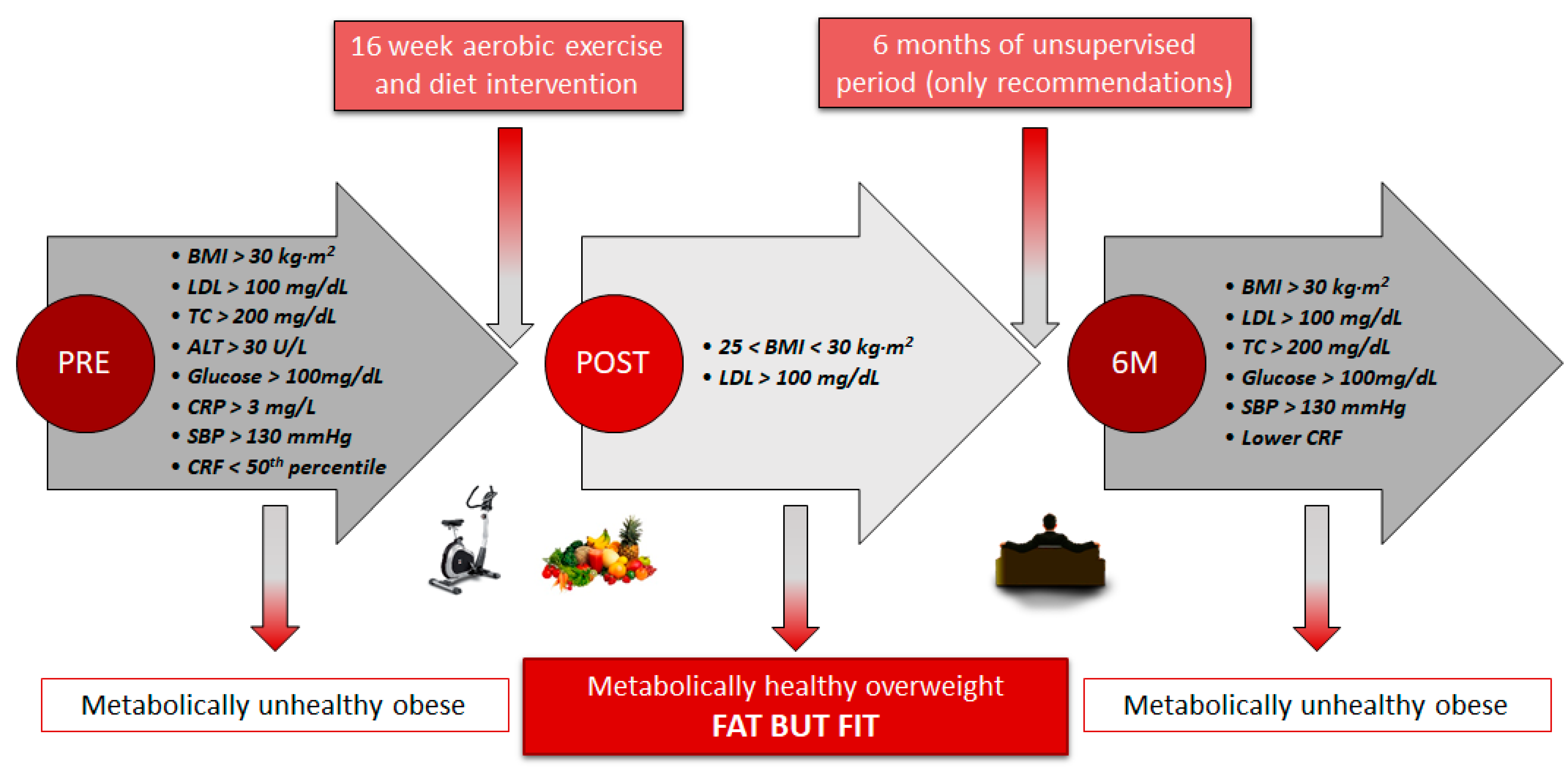 Ijerph 17 02830 g002