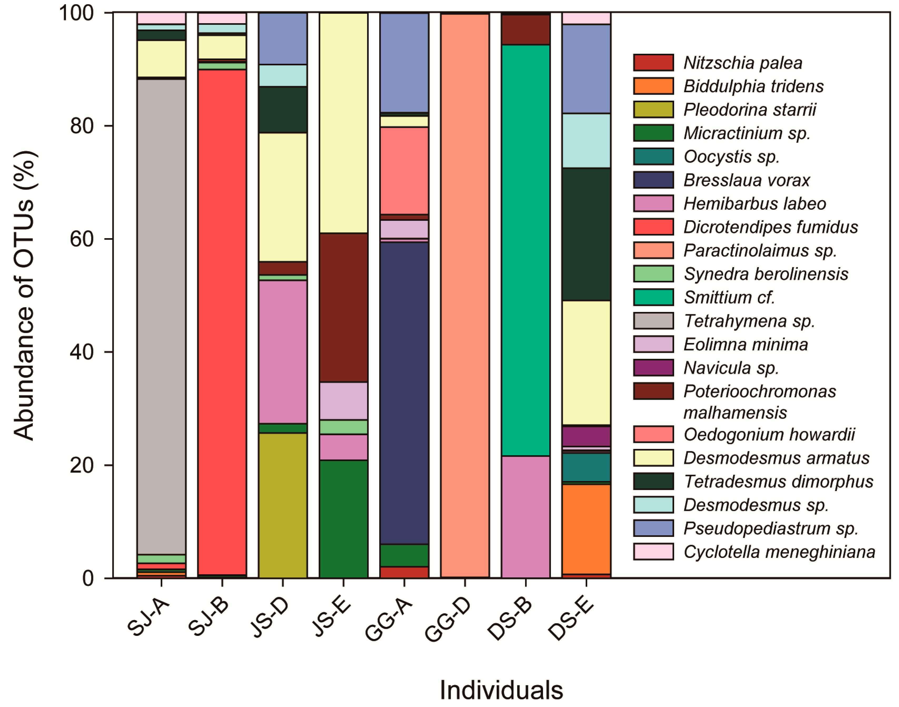 Ijerph 17 02856 g002