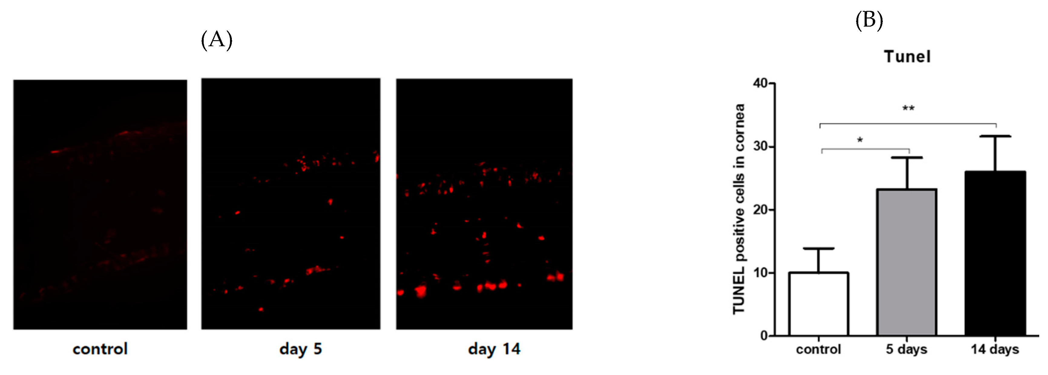 Ijerph 17 02965 g005