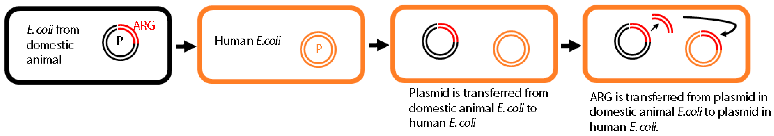 Ijerph 17 03061 g001