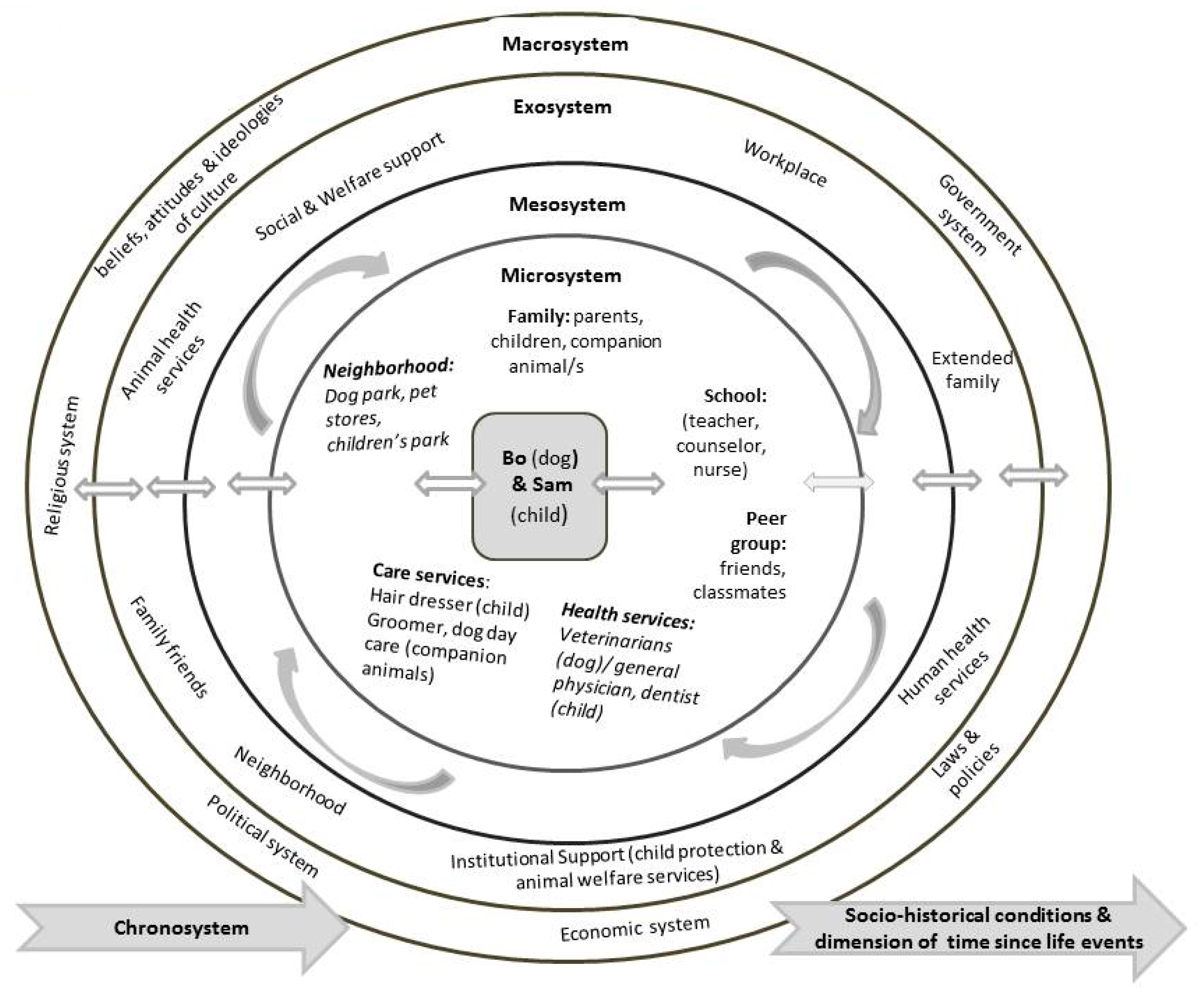 IJERPH | Free Full-Text | Understanding the Link between Animal Cruelty and Family Violence: The Bioecological Systems Model IJERPH | Free Full-Text | Understanding the Link between Animal Cruelty and Family Violence: The Bioecological Systems Model