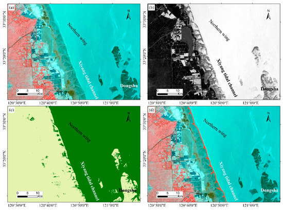 Recent Evolution of Coastal Tidal Flats and the Impacts of