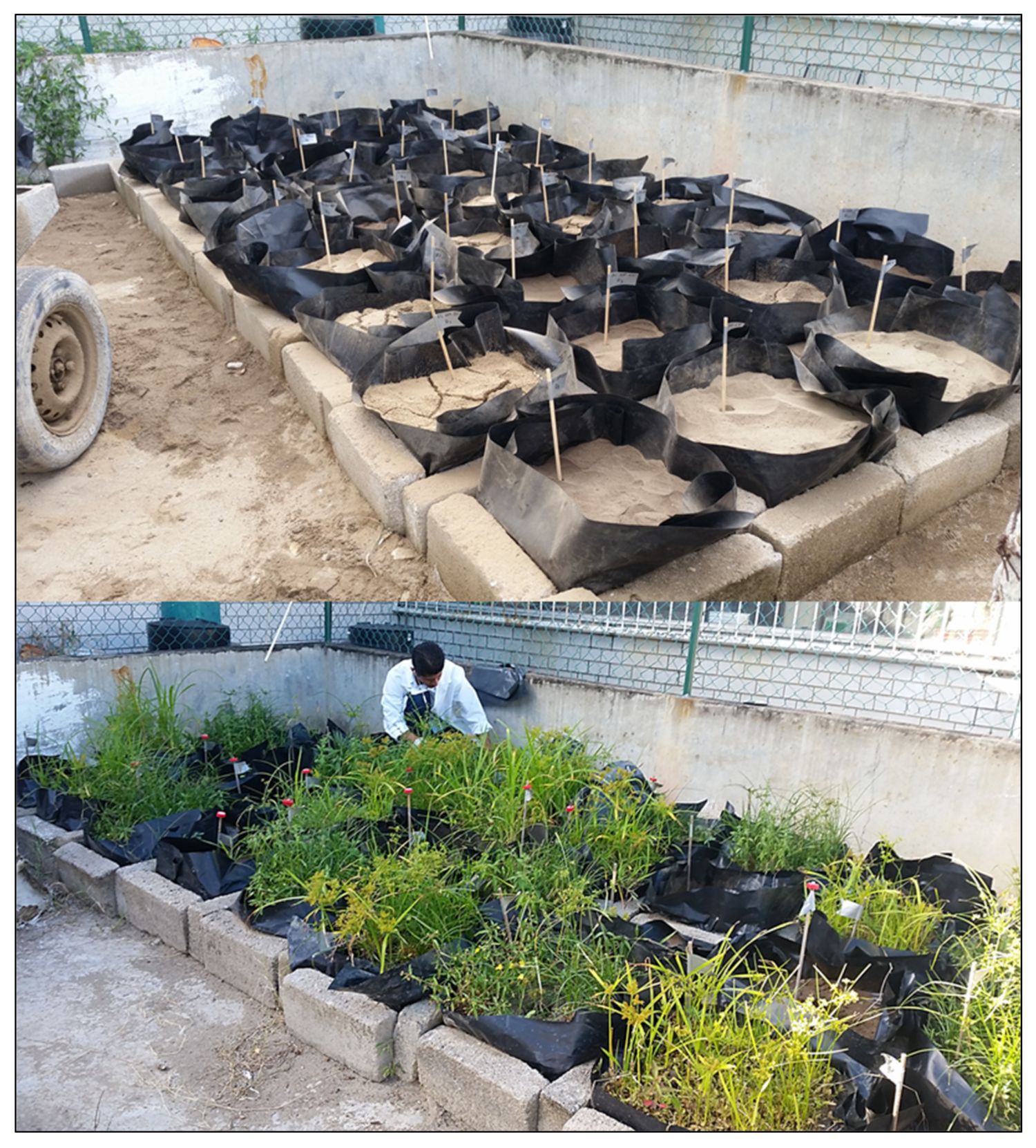 Ijerph 17 03213 g001 Ijerph 17 03213 g001