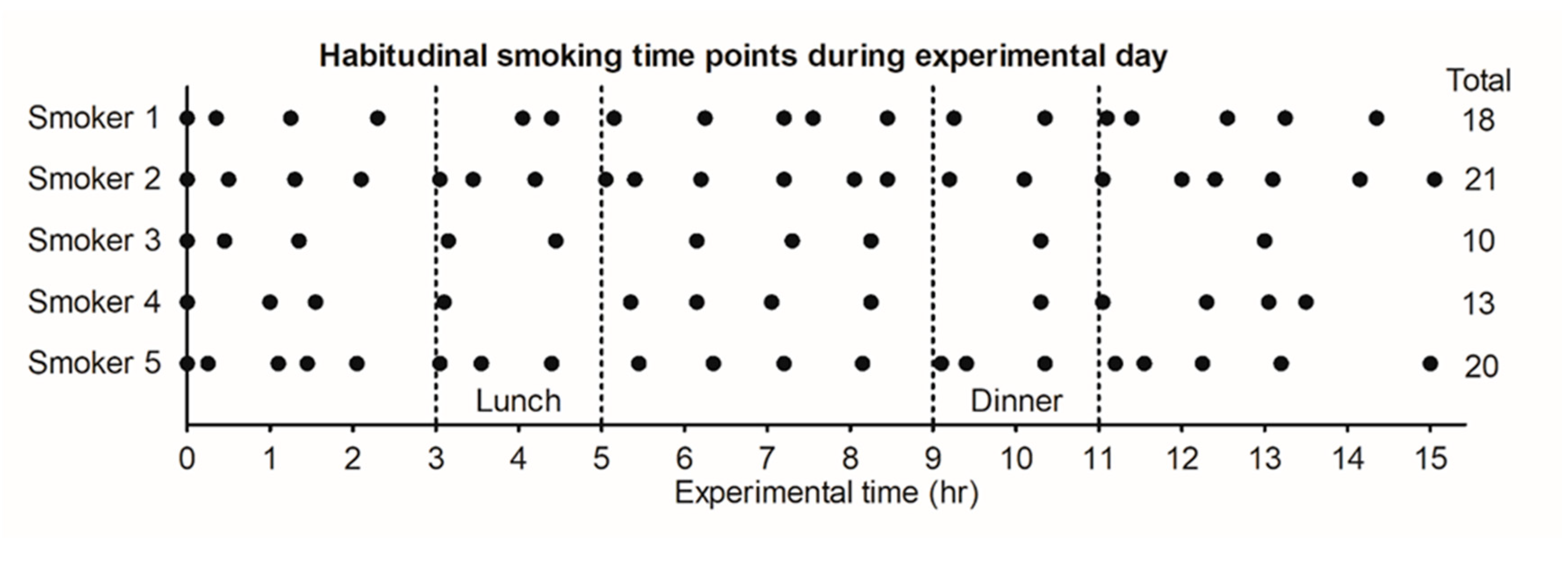 Day experiment