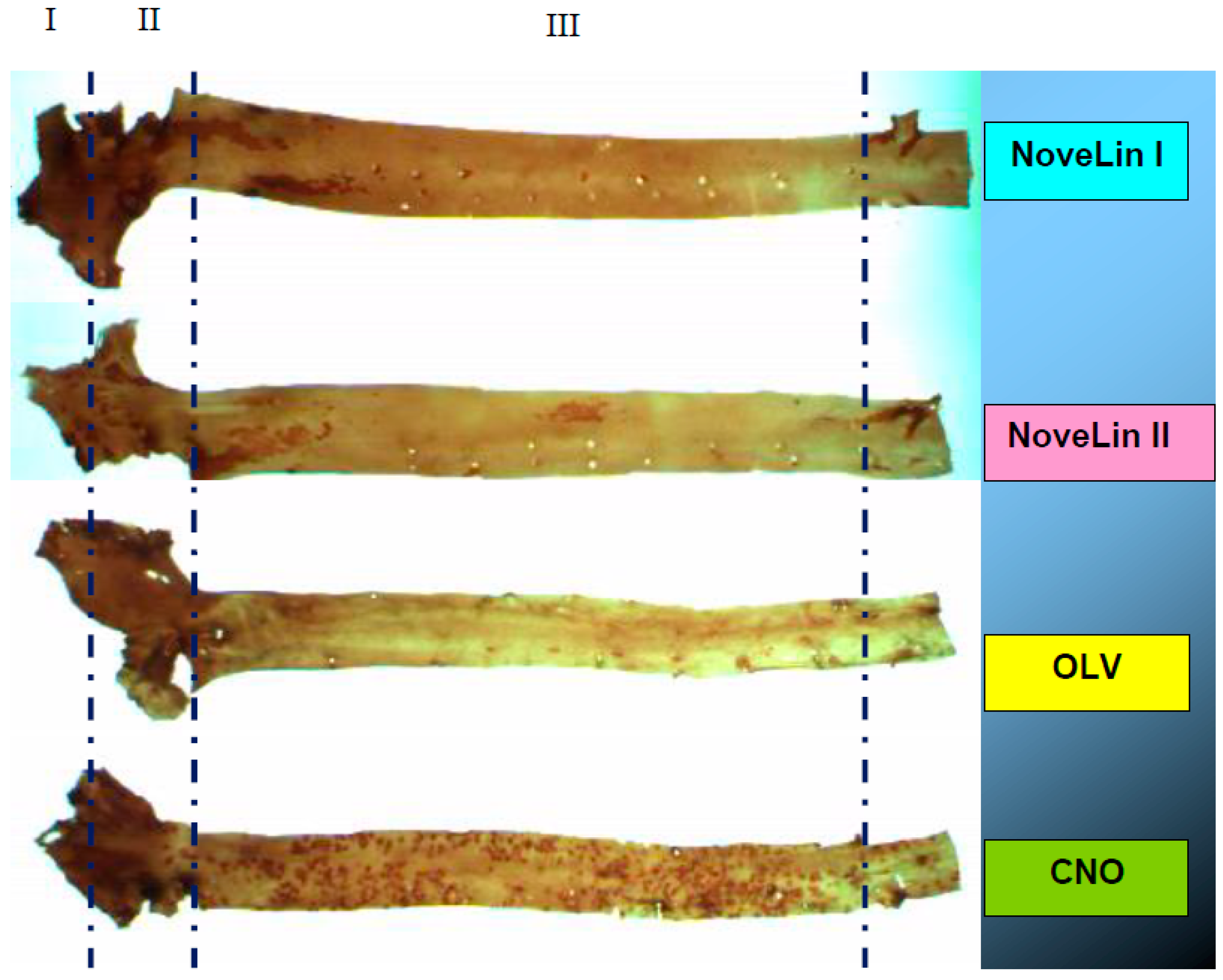 Ijerph 17 03226 g001 Ijerph 17 03226 g001