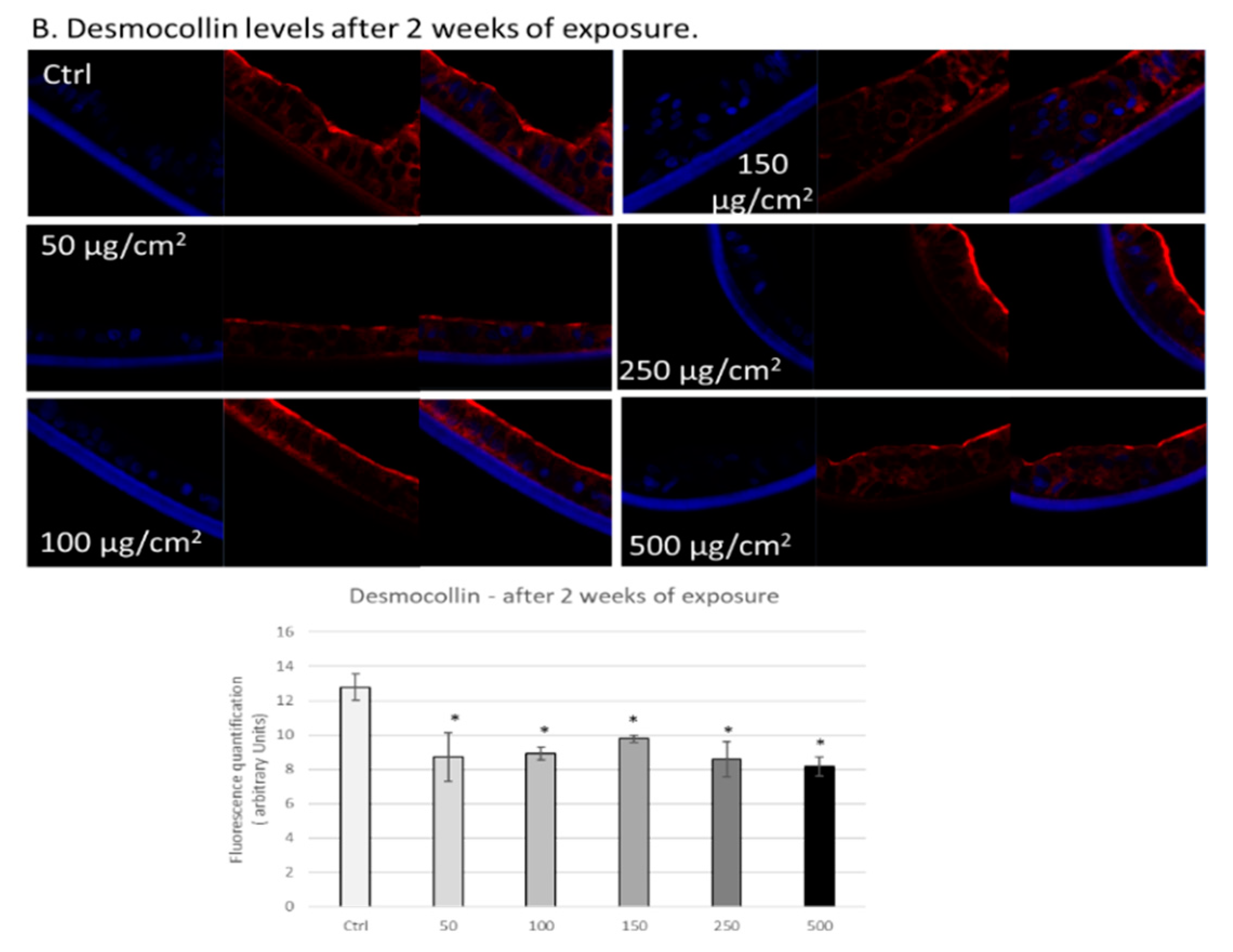 Ijerph 17 03234 g005b Ijerph 17 03234 g005b