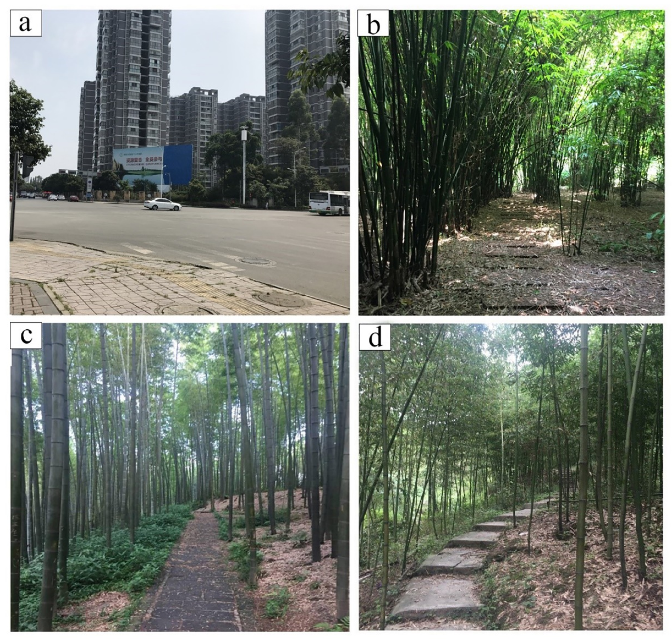 Ijerph 17 03238 g002