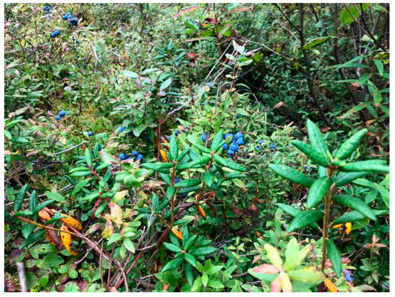 Ijerph 17 03273 g002