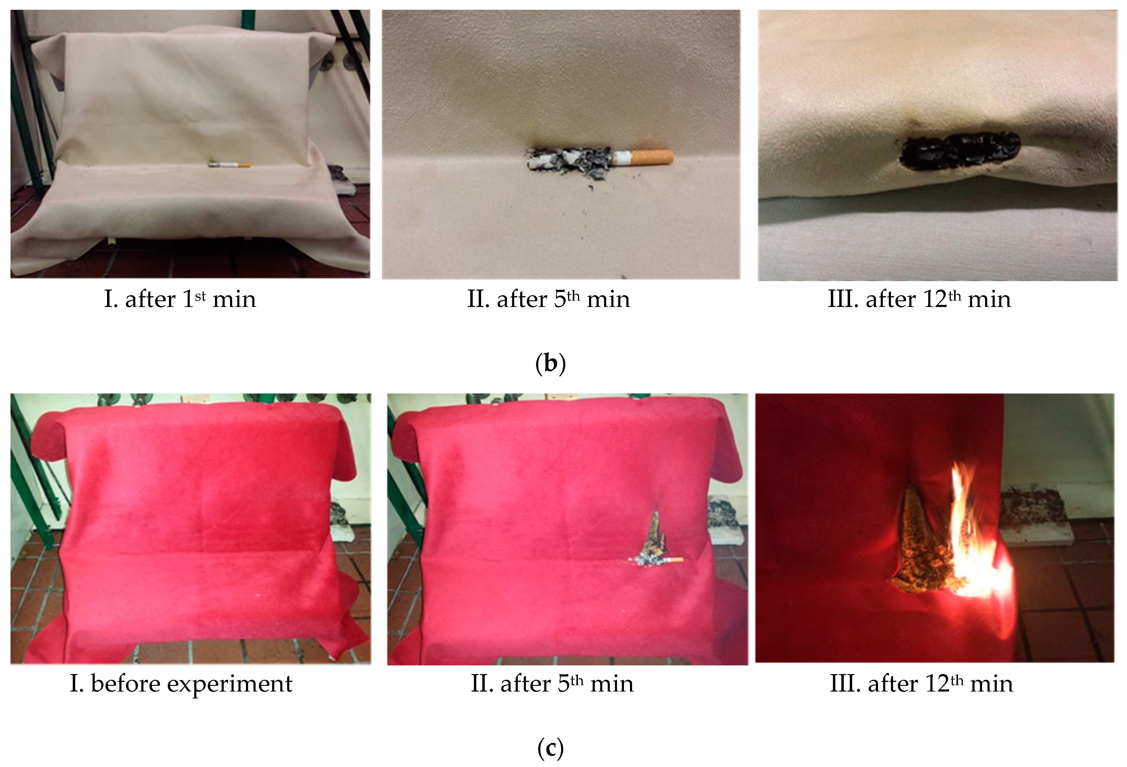 Ijerph 17 03341 g003b