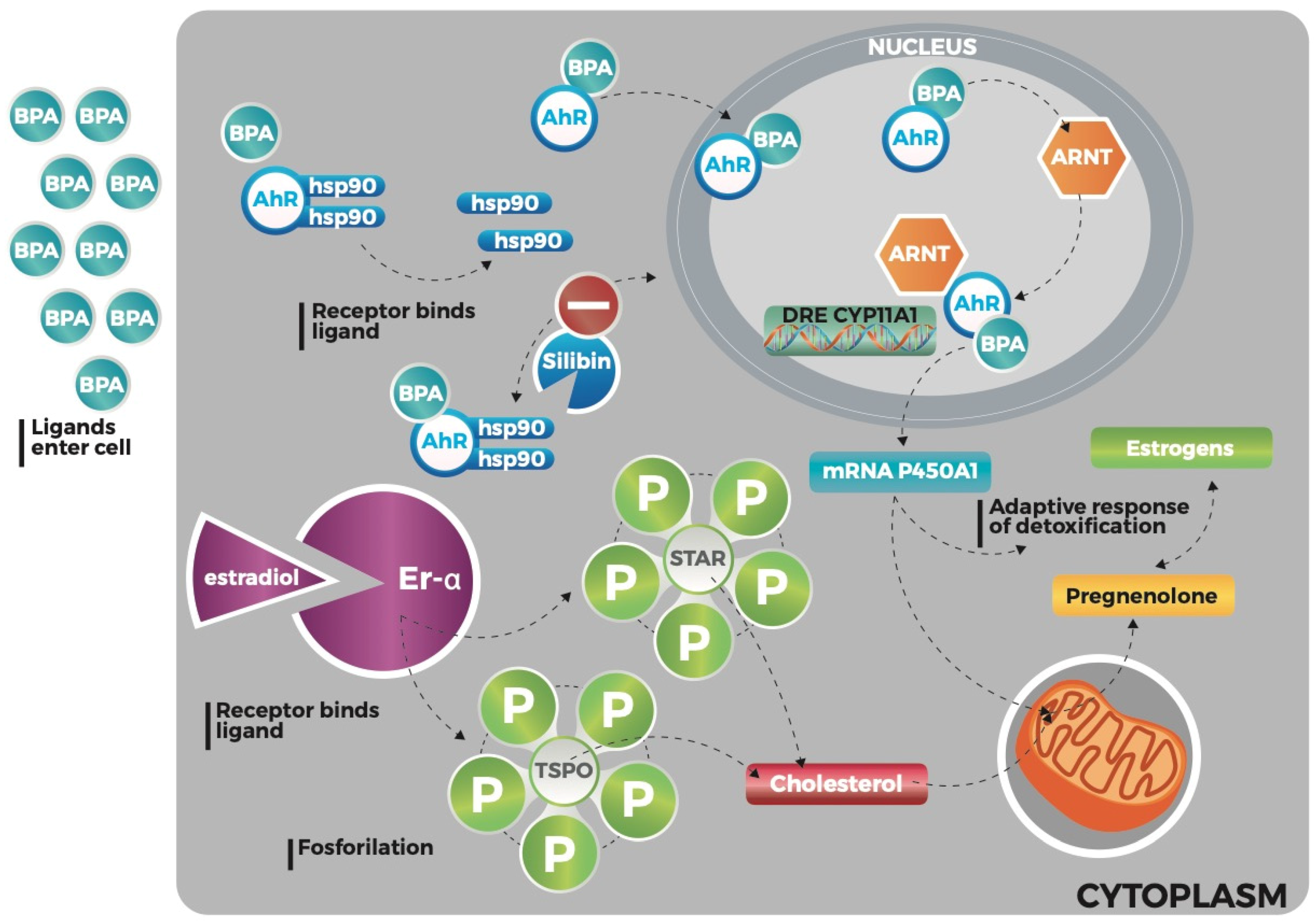 Ijerph 17 03369 g006